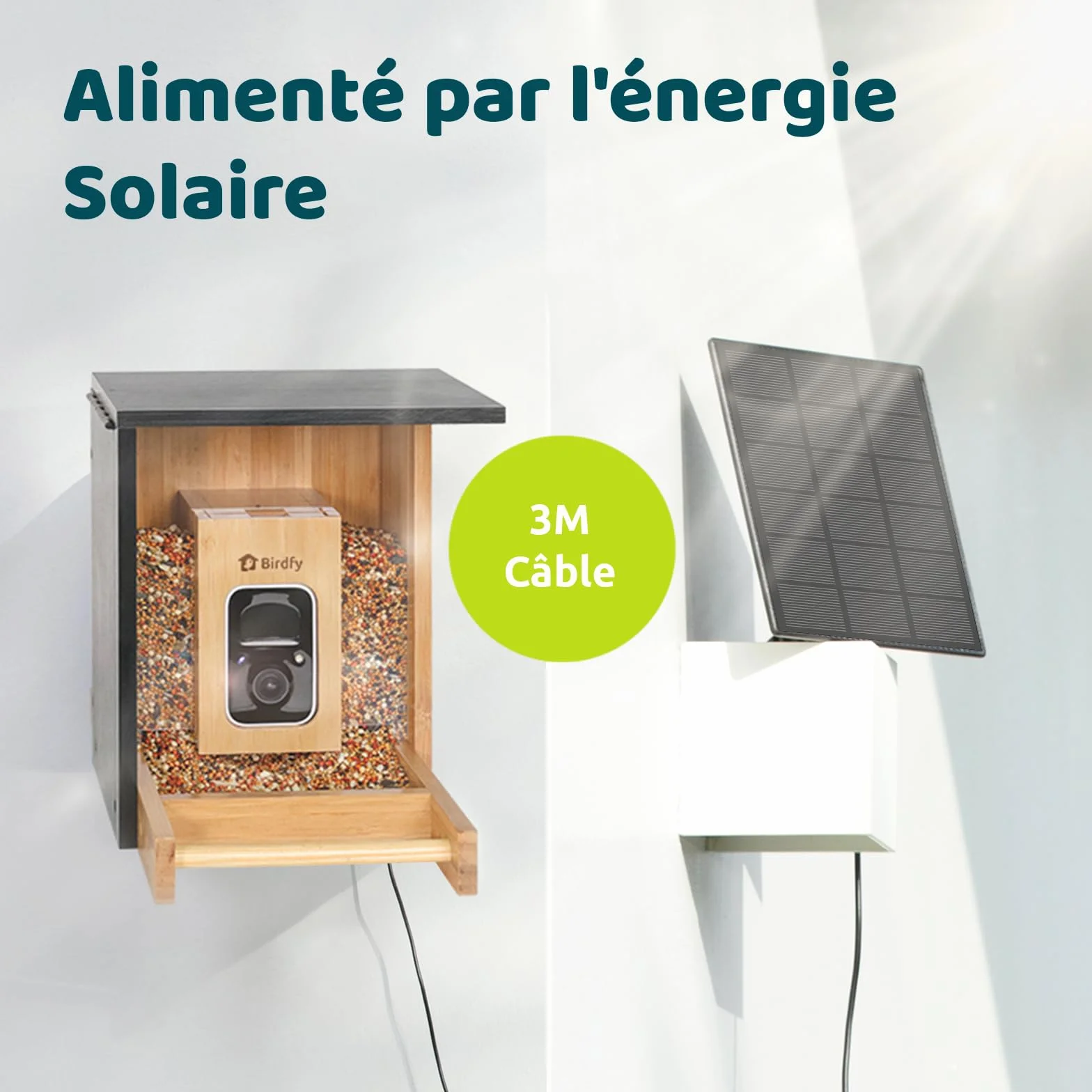 Netvue Birdfy Mangeoire Oiseaux Bambou Caméra Solaire Vision Nocturne Capture Auto Images Vidéos Notification