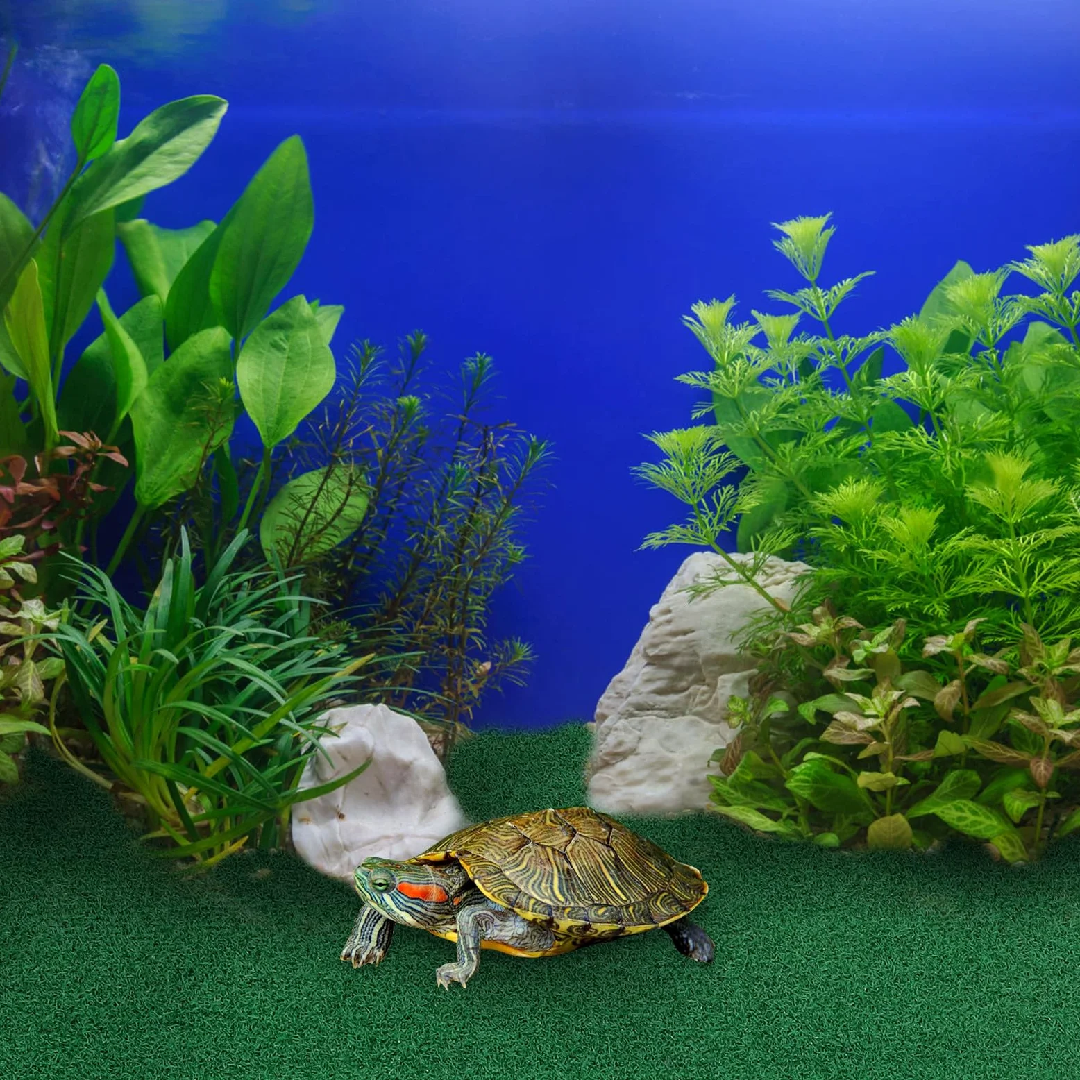 Toyvian Gazon Artificiel pour Tortues 80X40 CM, Tapis de Pelouse Synthétique pour Aquarium, Rampe de Repos Multifonction pour Reptiles et Activités Extérieures
