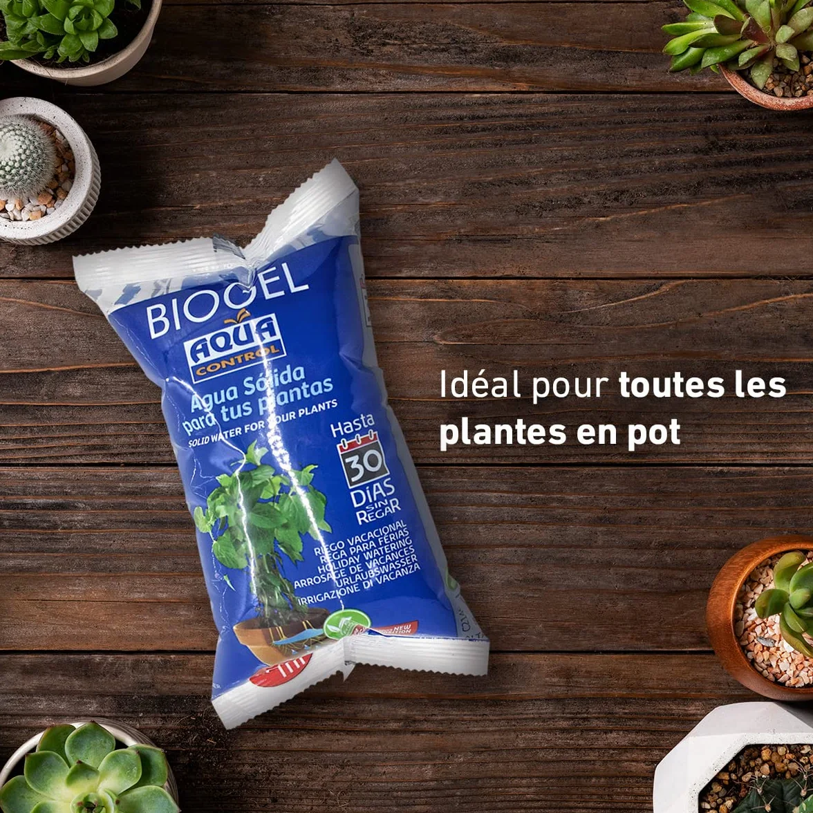 AQUA CONTROL Biogel C2140 Eau Solide pour Plantes, Arrosage Vacances 30 Jours, 400 ML