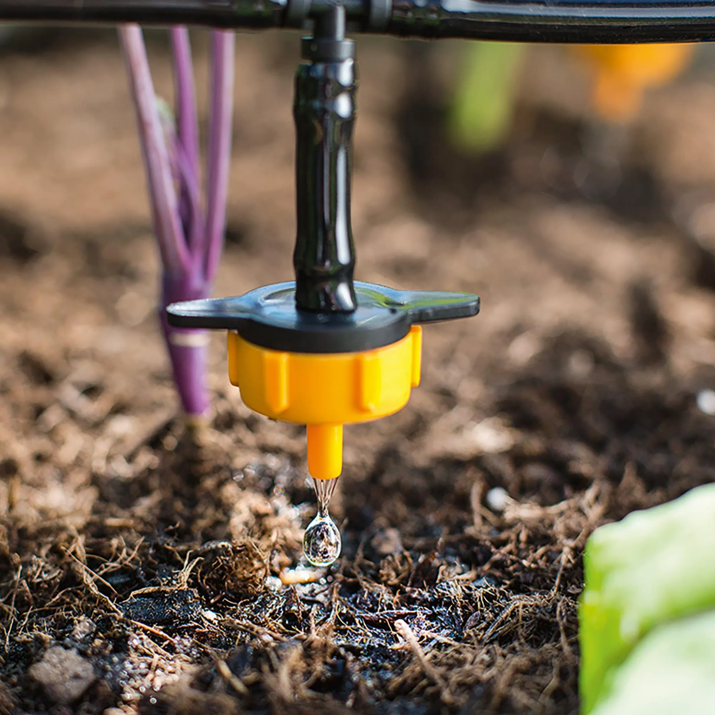 Esotec 101100 Kit complet d'arrosage/Système d'irrigation solaire complet avec 15 goutte-à-goutte