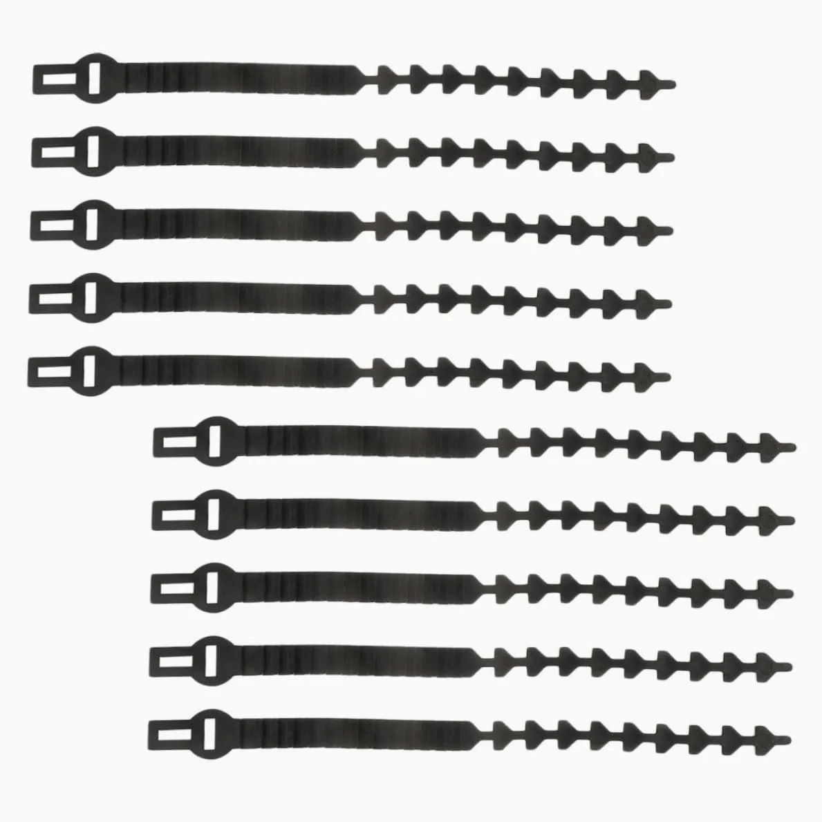 Lot de 10 Sangles en Caoutchouc pour Attache d'arbre Fruitier, Supports Robustes et Ajustables pour Fixation et Formation des Jeunes Plants