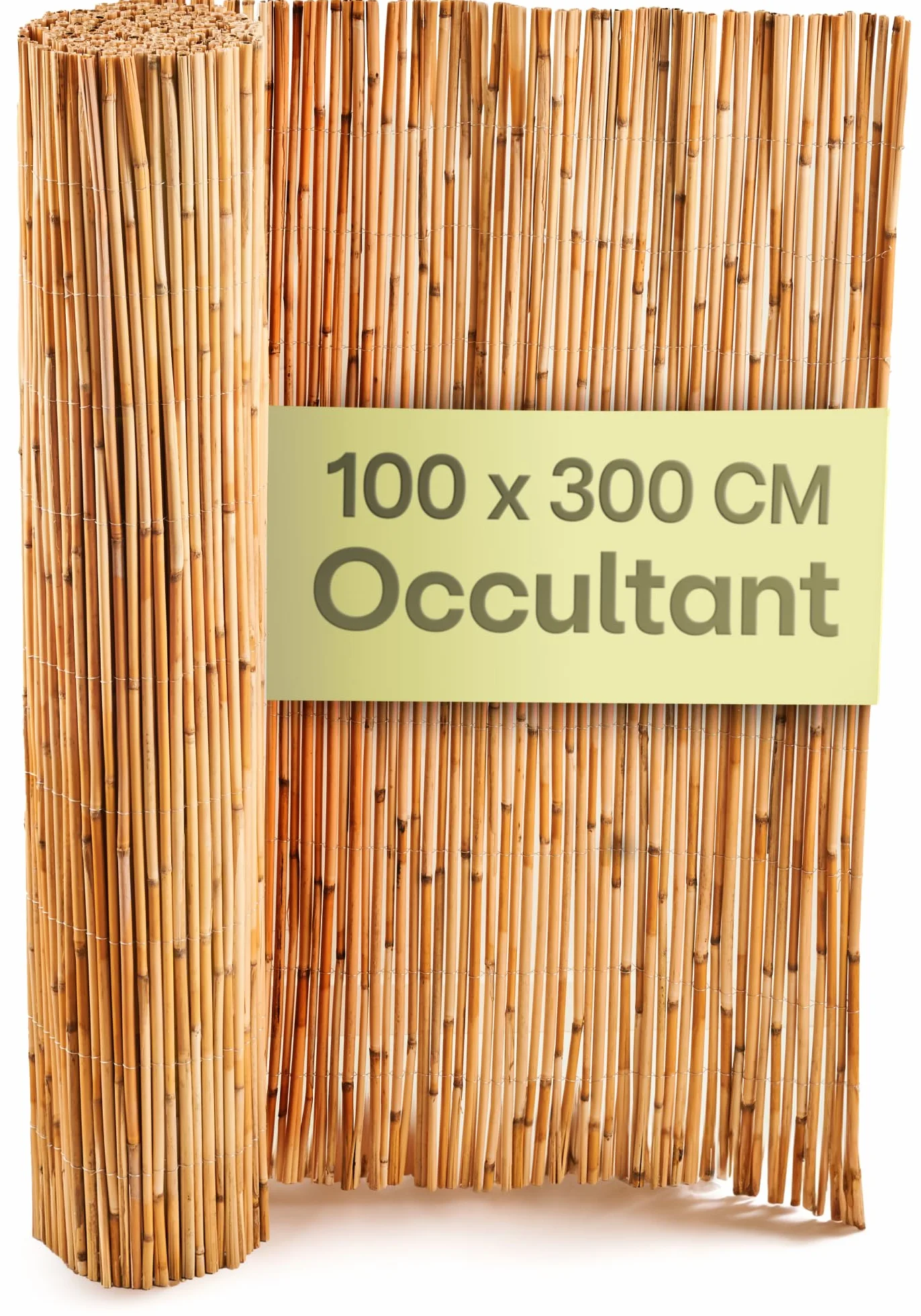 Canisse Roseau Naturel 1m x 3m FSC Certifié 100x300cm pour Balcon Jardin