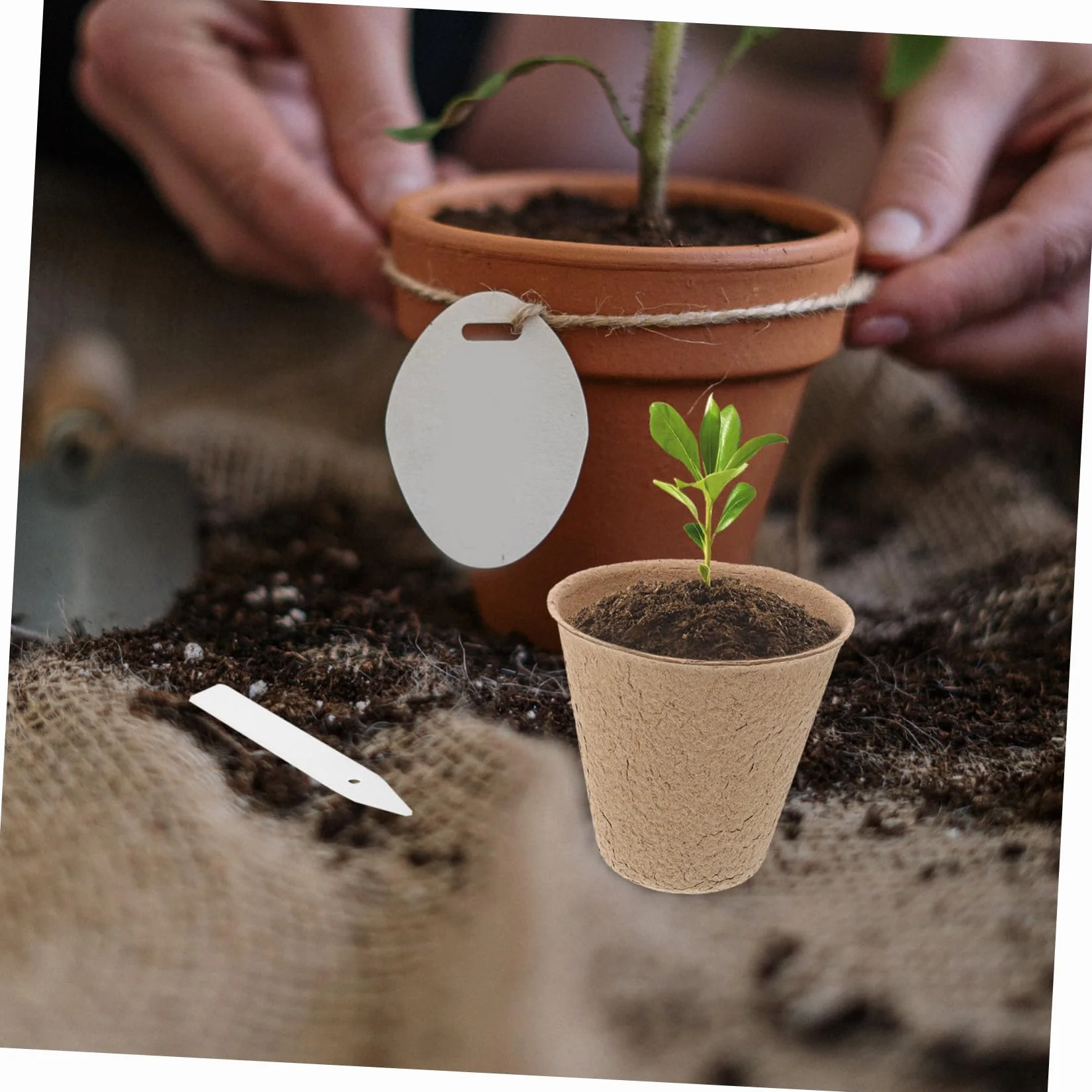 Sosoport Pot en pulpe pour semis 110 pcs repiquage Plantes Potager