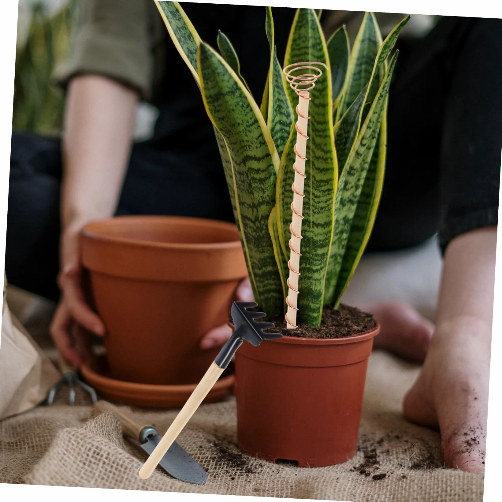 HEMOTON Kit Outils de Jardinage avec Piquets en Fil de Cuivre et Truelles en Bois pour Plantes et Légumes, Favorise la Croissance des Racines en Intérieur et Petits Jardins