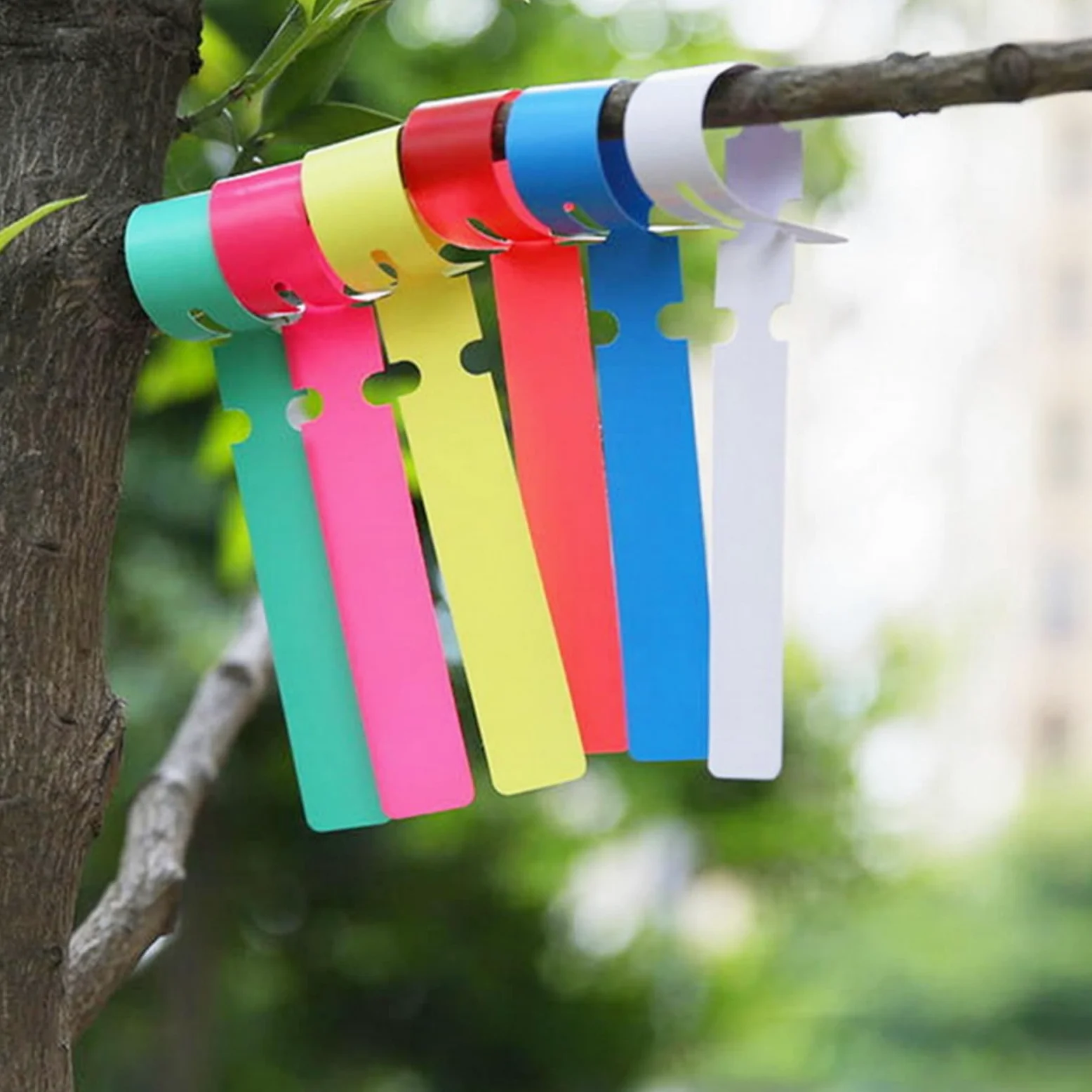 DAJAVE Lot de 1200 étiquettes d'arbre en plastique de 6 couleurs, 20,3 cm à enrouler autour des plantes à suspendre, étiquettes de jardin étanches pour jardin