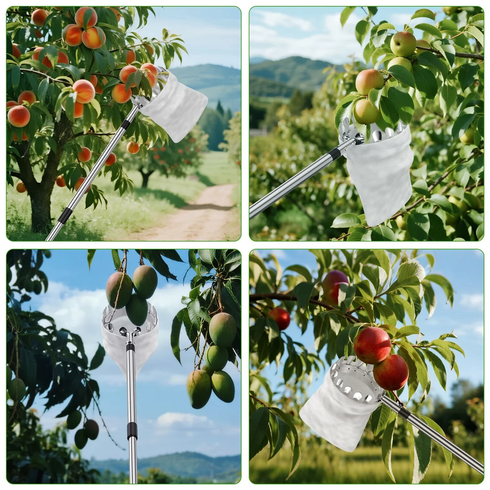 BURMONG Outil de cueillette de fruits de 4 m avec poteau en acier inoxydable et panier souple – Récolteuse de fruits réglable pour pomme, mangue, avocat, orange, poire, citron et plus encore – Léger