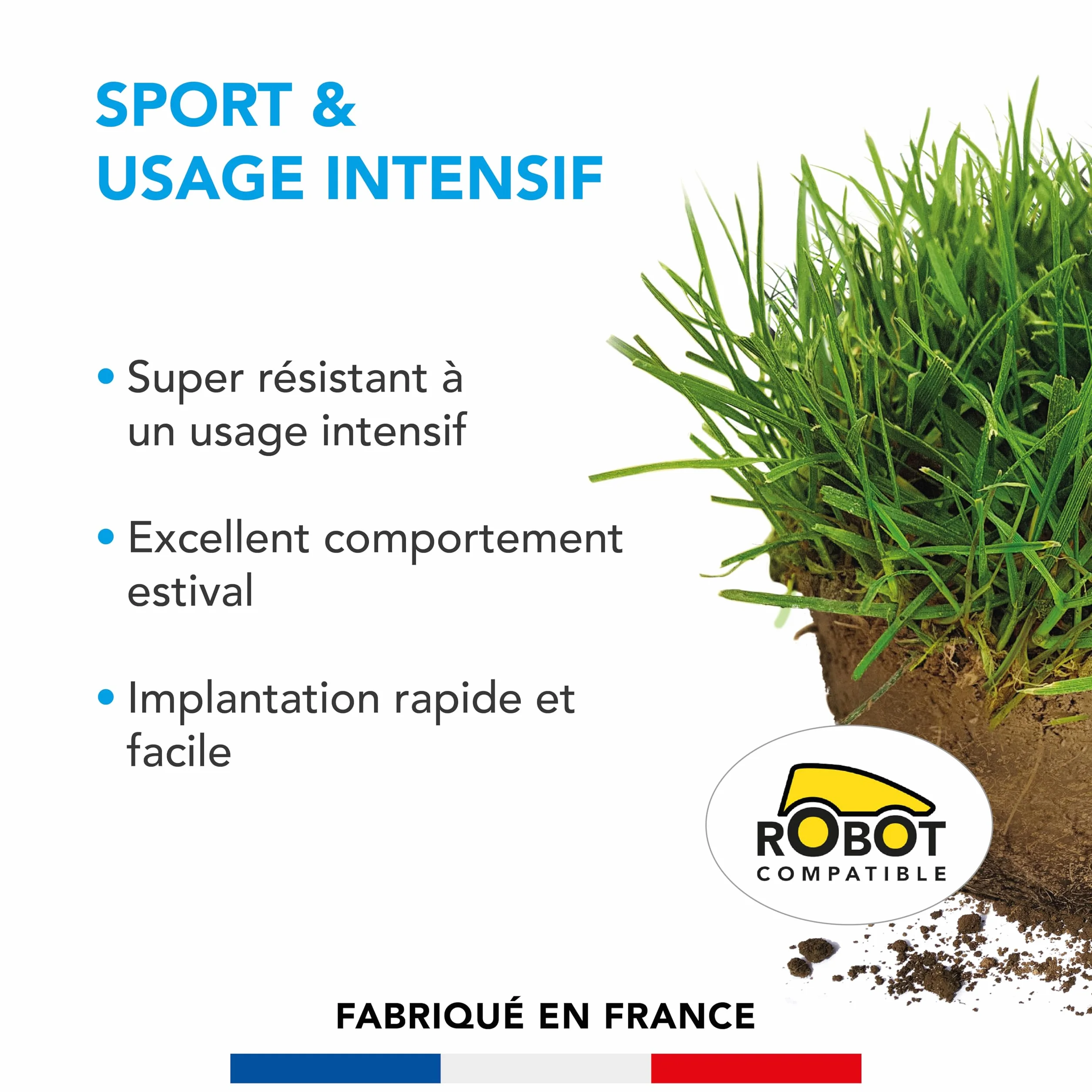 BARENBRUG Gazon Sport Usage intensif Super Résistant 1KG