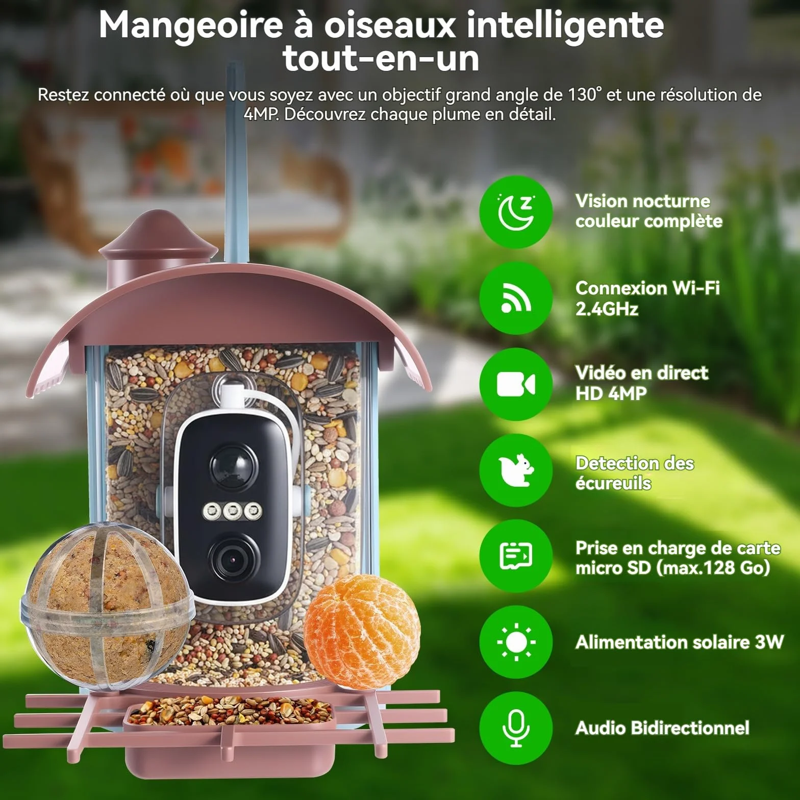 Nichoir à Oiseaux avec Caméra 4MP Solaire mangeoire Station d'alimentation Enregistrement vidéo Photo Identification IA Détection Mouvement Notification