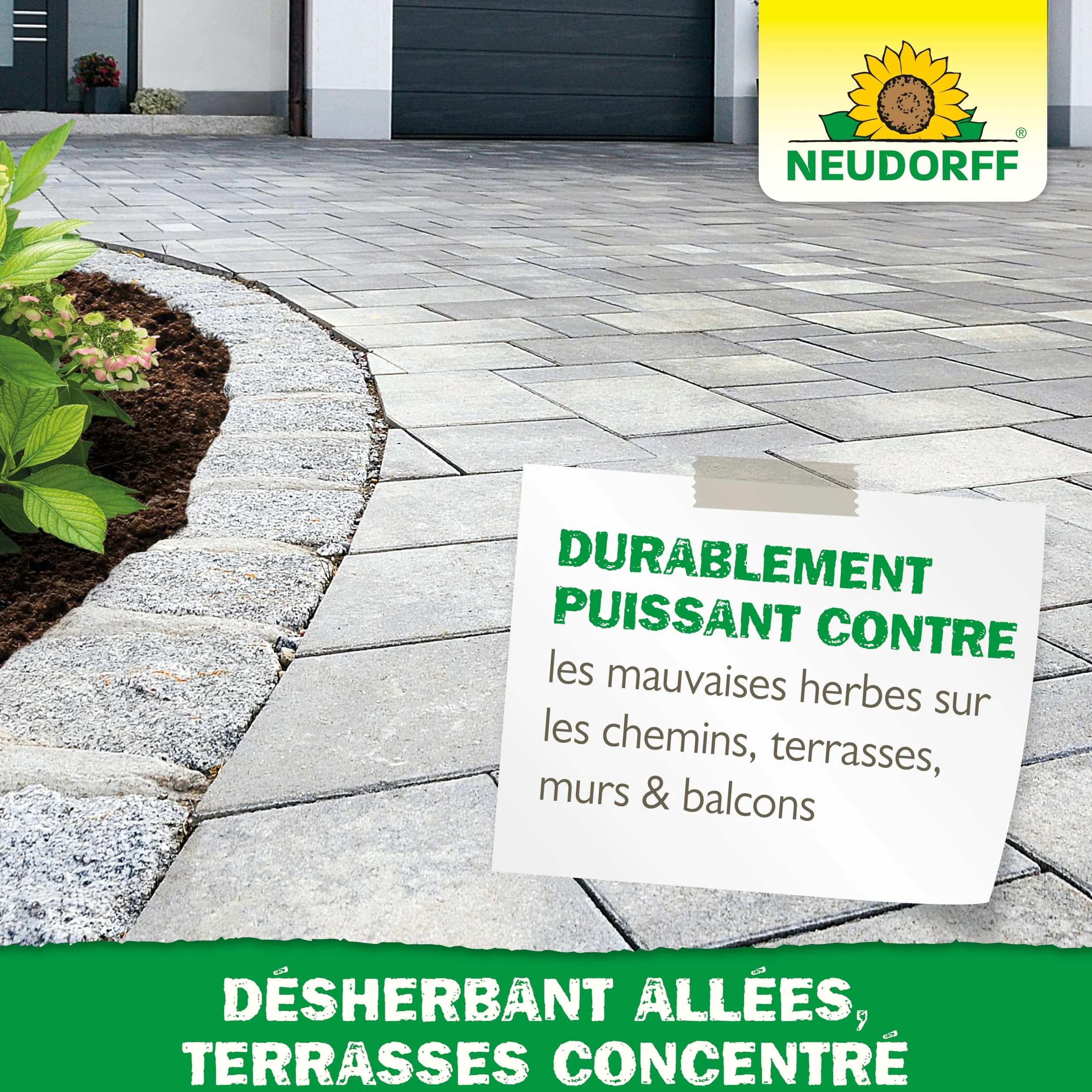 Neudorff Finalsan Désherbant Allées Terrasses 2,5 L sans glyphosate action rapide