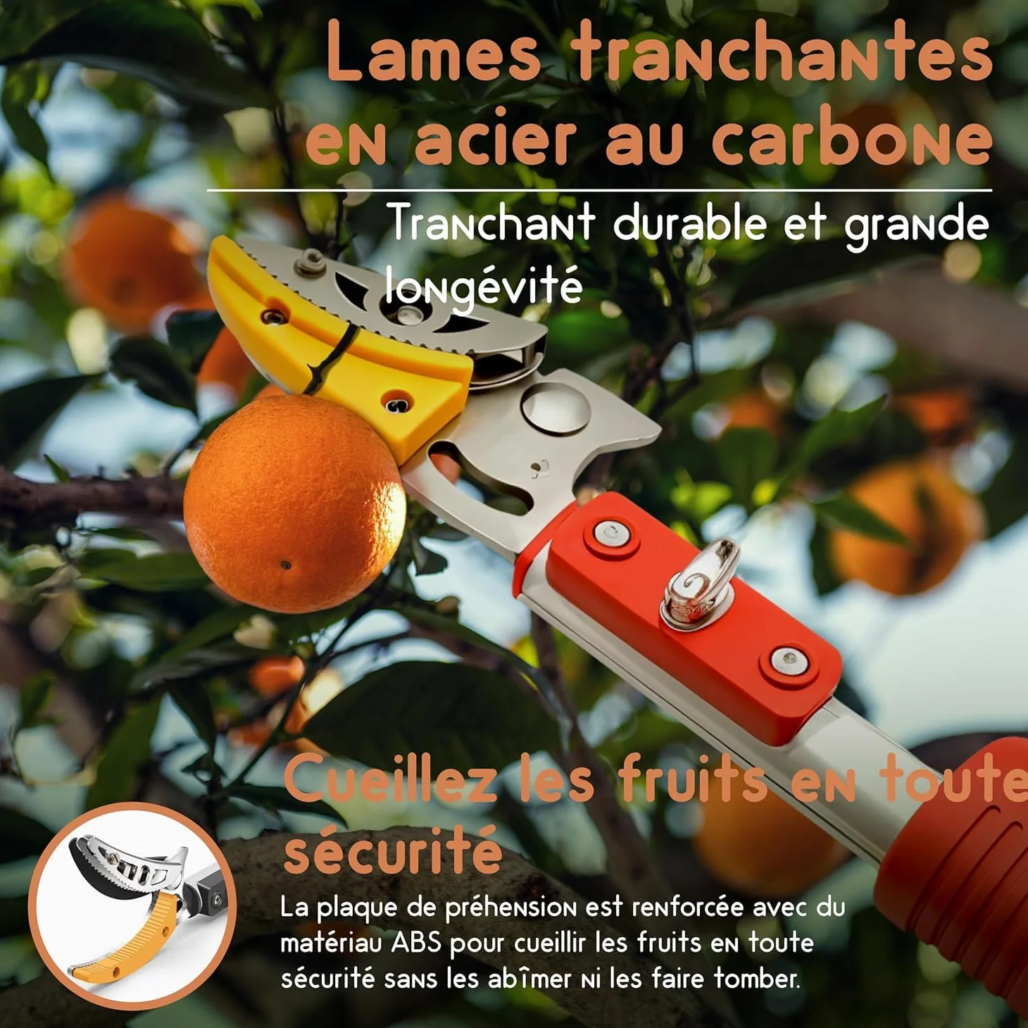 Coupe Branche Telescopique Multifonctions, Sécateur Cisaille de Jardin, Sécateur et Scie Elagage, Lame en Acier, Pur Rameaux et Bois Vert, Perche Telescopique de 130 à 220 cm