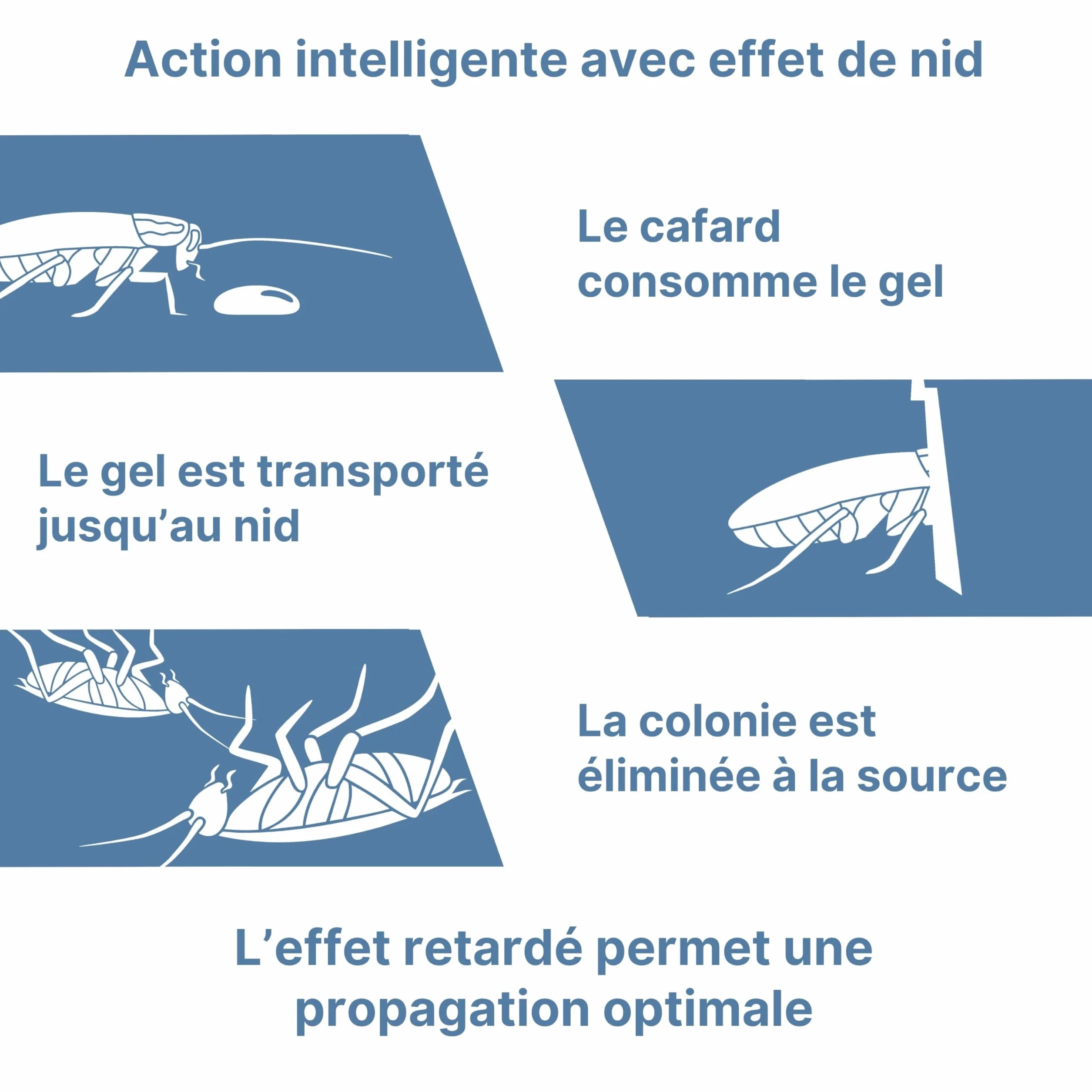 Novokill ROACH GEL PRO 10g – gel anti cafards professionnel à action prolongée