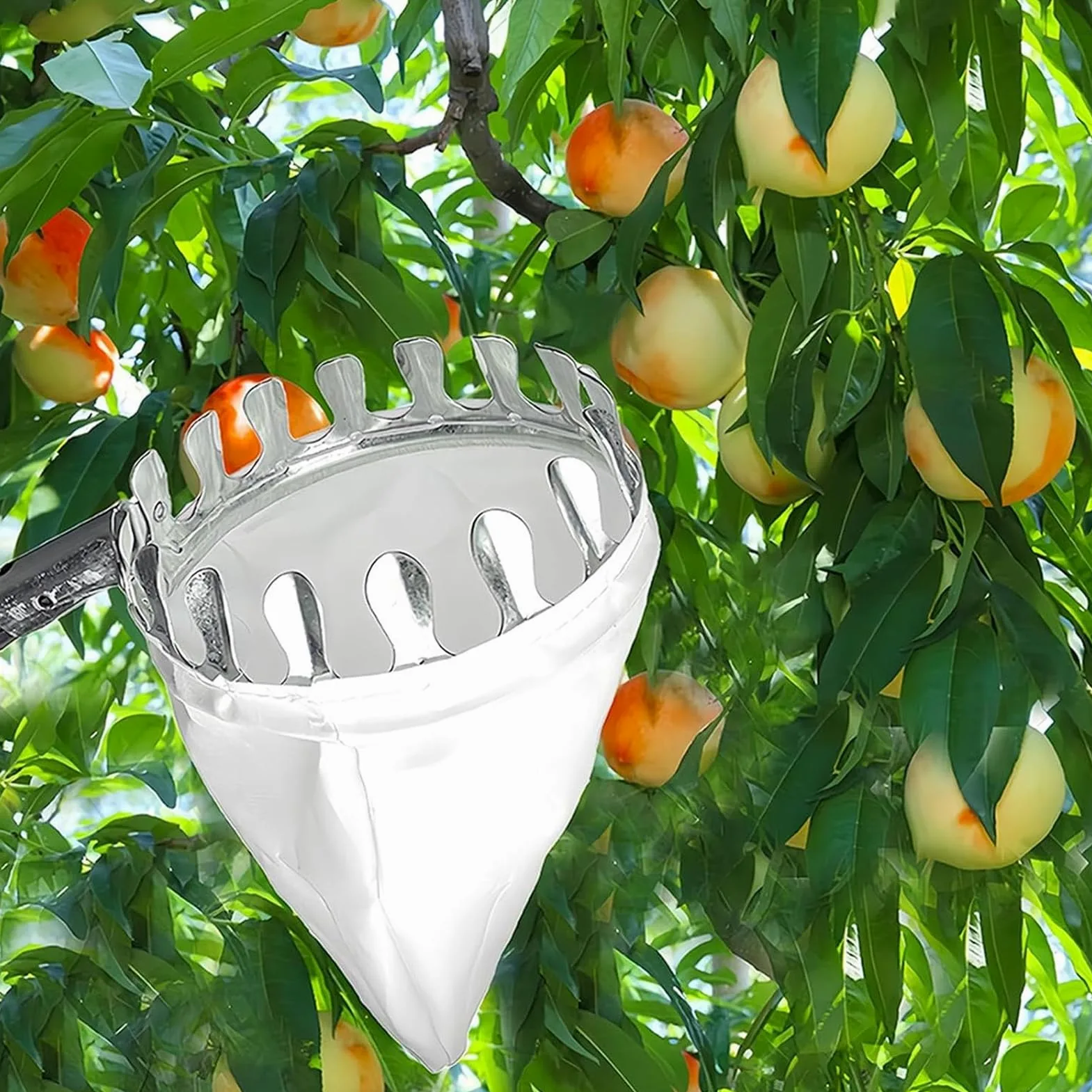 A,6.8 ft, Cueilleur De Fruits Télescopique, Pôle De Cueillette De Fruits, Cueilleur De Cerises, Métal Cueille-Fruits avec Sac De Collecte Outils De Jardin