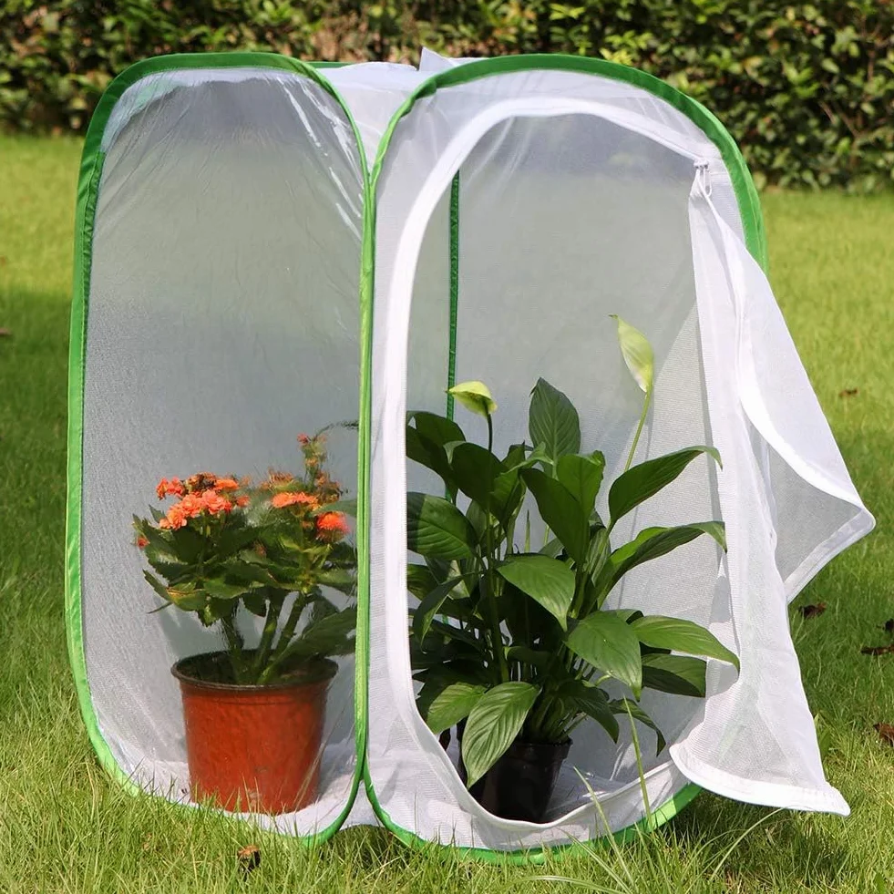 Lot de 2 cages habitat à insectes et papillons - Pour terrarium - 2 x 15,7 x 15,7 x 23,6 cm - Blanc durable + vert