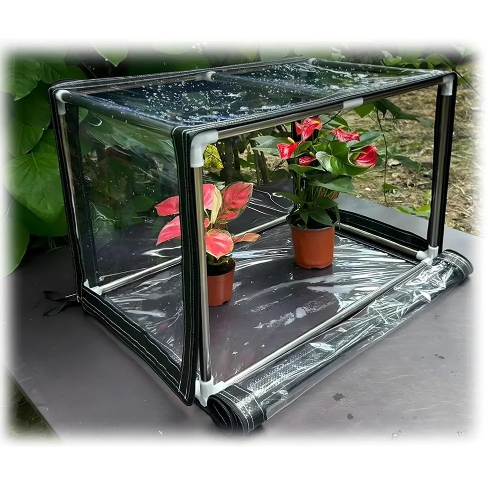 Zfmnoyev Mini Serre, Serre Portable pour Le Jardin, Tente De Culture pour Petites Plantes, avec Couverture en PVC Et Cadre en Acier Inoxydable, Facile À Assembler(70x30x30 cm/28x12x12 in)