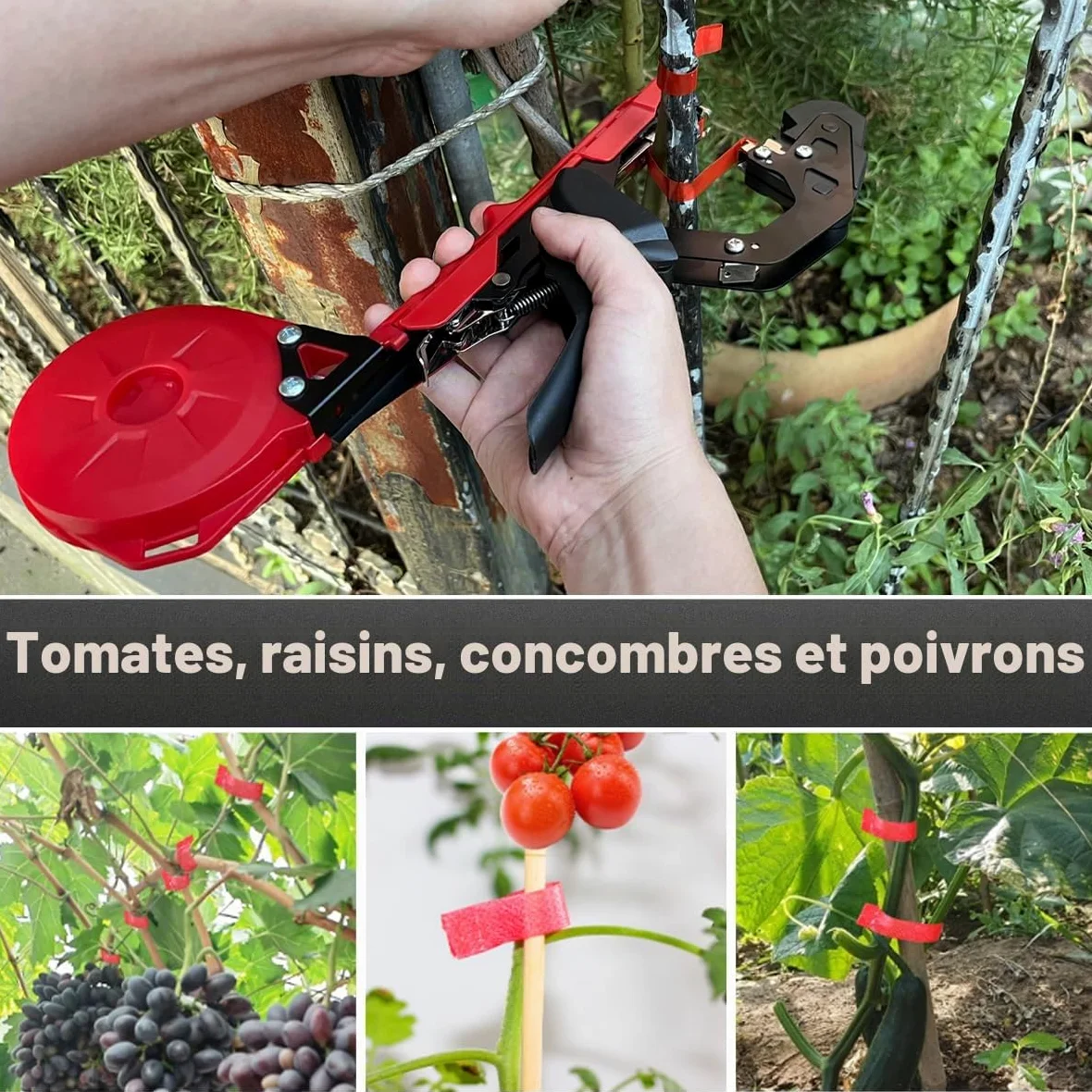 Machine à Nouer Les Plantes Professionnelle Attacheuse Rapide pour Tomates, Vignes, Concombres, Fleurs et Légumes – Idéale pour Jardiniers, avec Ruban et Agrafes Inclus, Rouge/Noir
