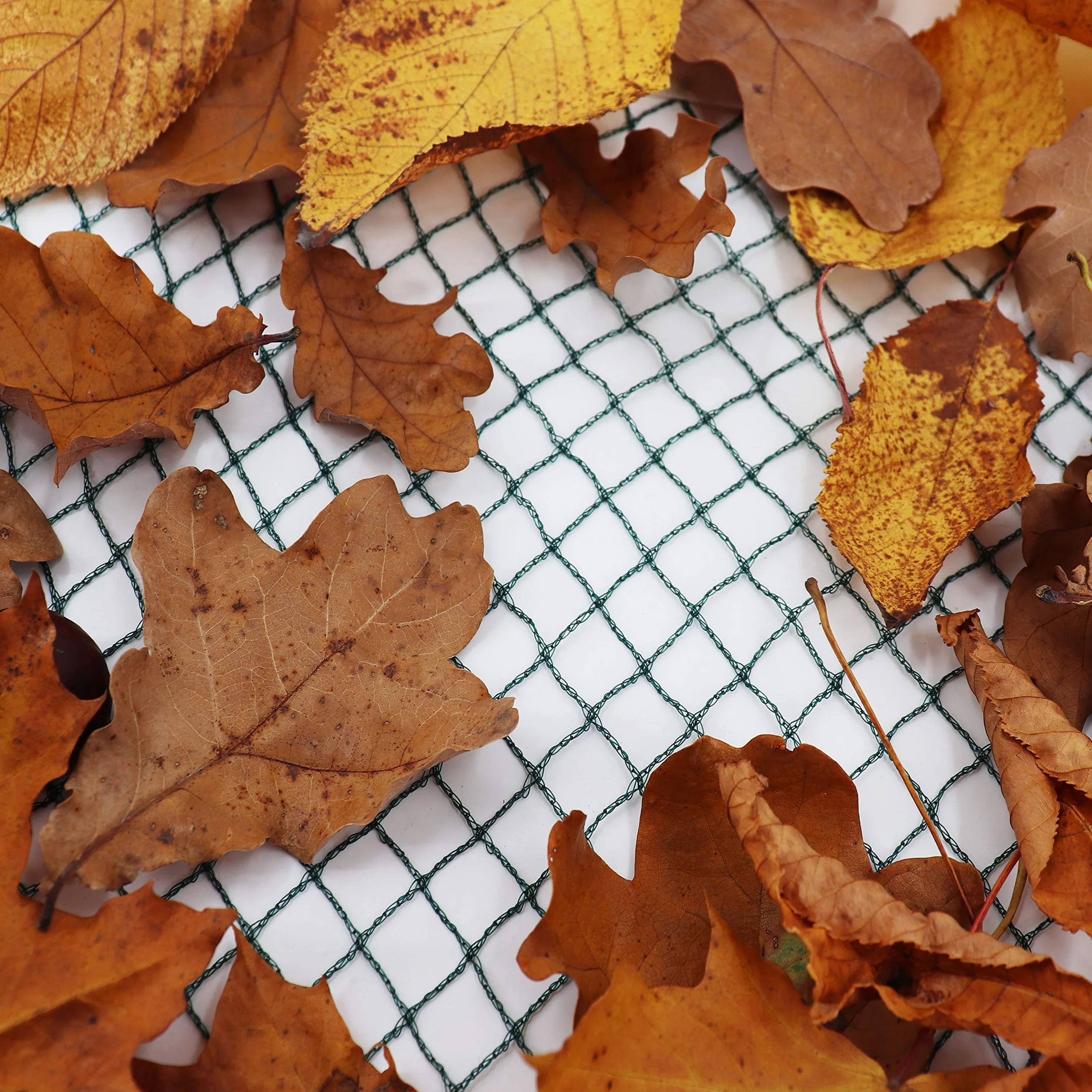 Filet de bassin 4m x 6m filet à feuilles protection oiseaux robuste