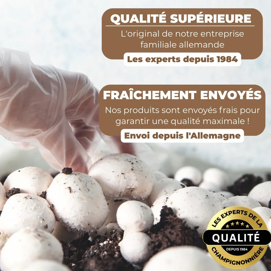 Hawlik Kit de culture de champignons Lions Mane Hericium erinaceus
