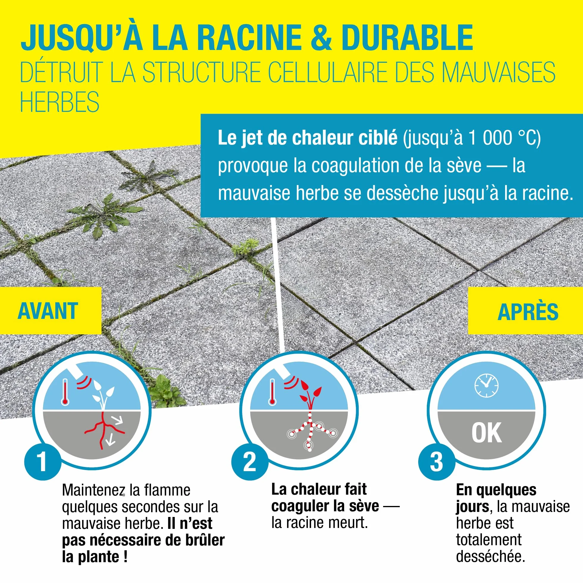 Gloria Désherbeur Thermique à Gaz Thermoflamm bio Professional PLUS 1000 °C pour Grandes Surfaces
