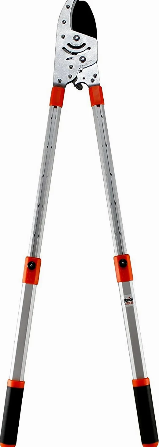 Coupe-Branches à Crémaillère Ultra Puissant | Manches Télescopiques 60-108 cm | Lame SK5 Revêtement Téflon | Coupe Facile & Précise Jusqu'à 5 cm | Élagage & Jardinage Professionnel