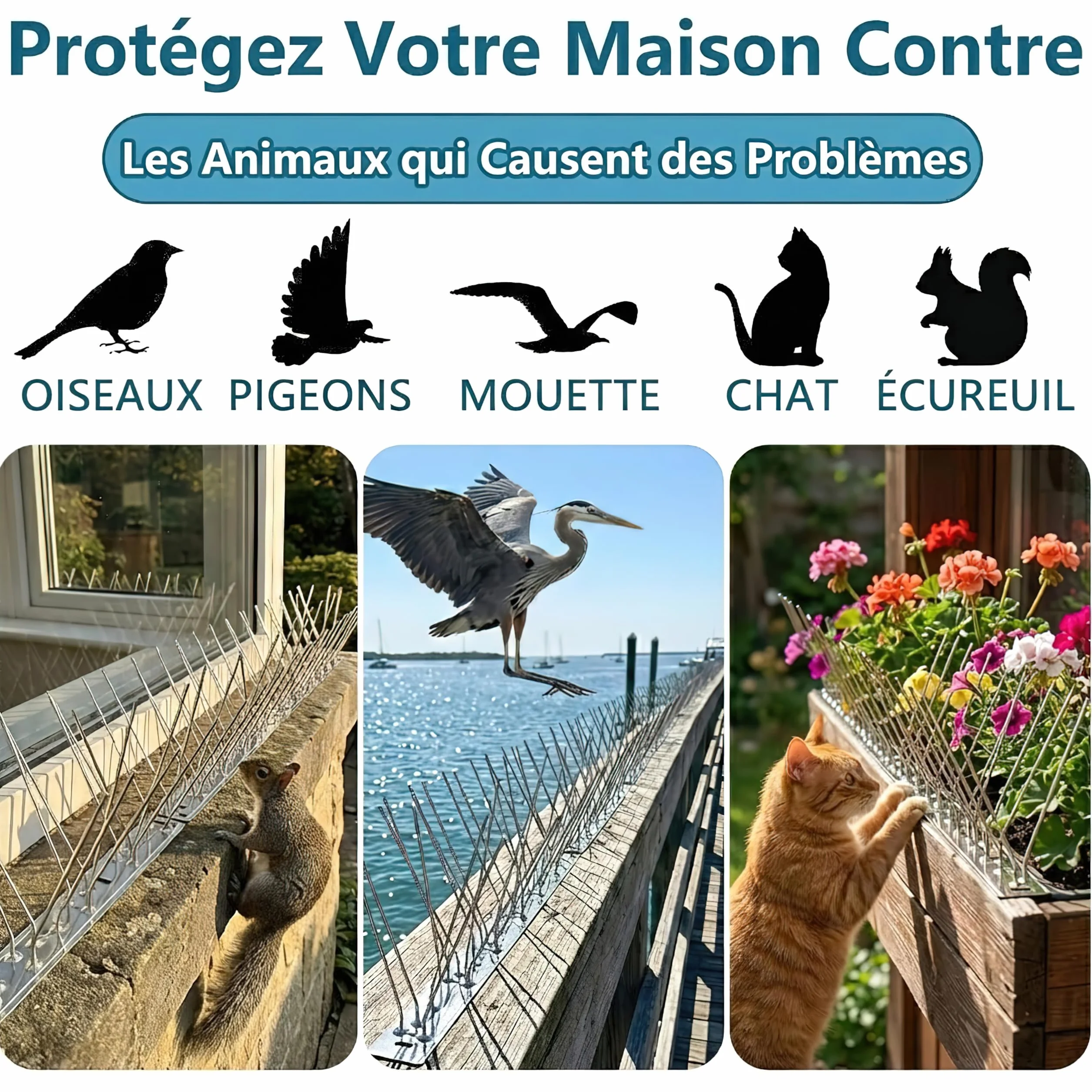 Anti Pigeon INOX 304 Kit Répulsif Oiseaux 1m 4 Pcs 25cm 8 Vis 8 Colliers