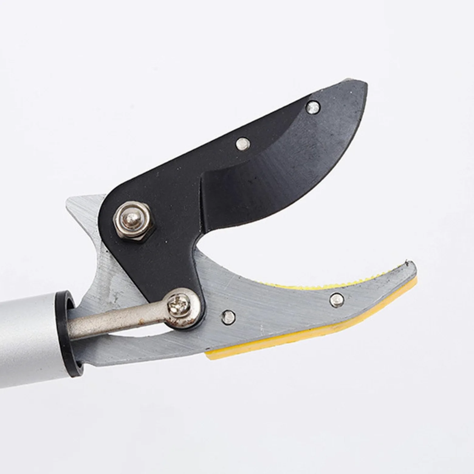 Milageto Sécateur d'arbres Sécateur à longue portée Cisailles de jardin à perche Cueilleur de fruits professionnel pratique Cisailles à cueillir les fruits