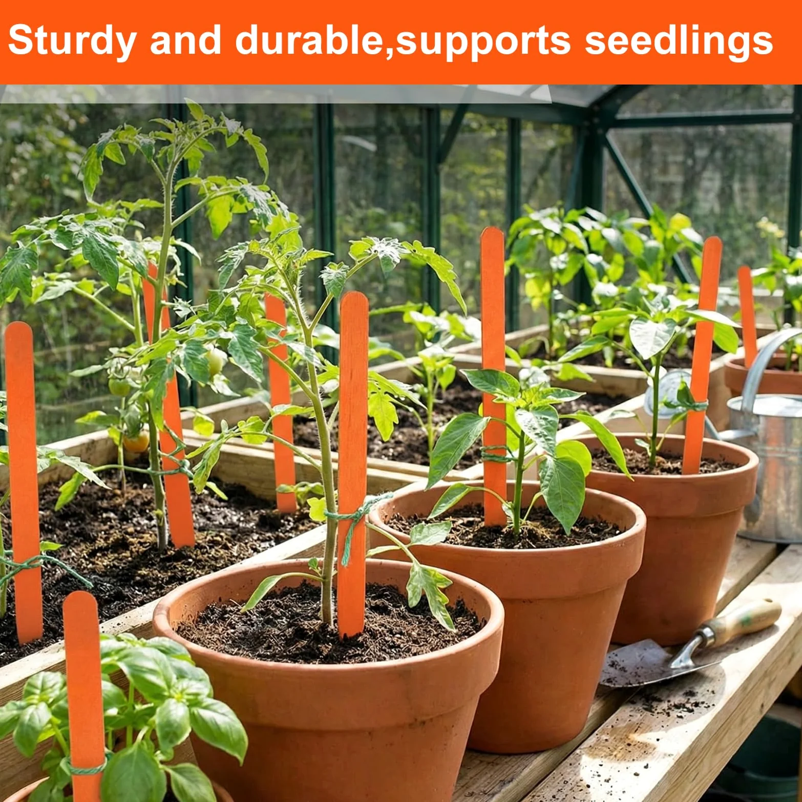 Weysat Lot de 100 étiquettes en bois de 30,5 cm pour plantes de champ ou conteneurs, étiquettes de jardin en bois pour semis, marqueurs, graines de pépinière, étiquettes avec surface lisse pour pots
