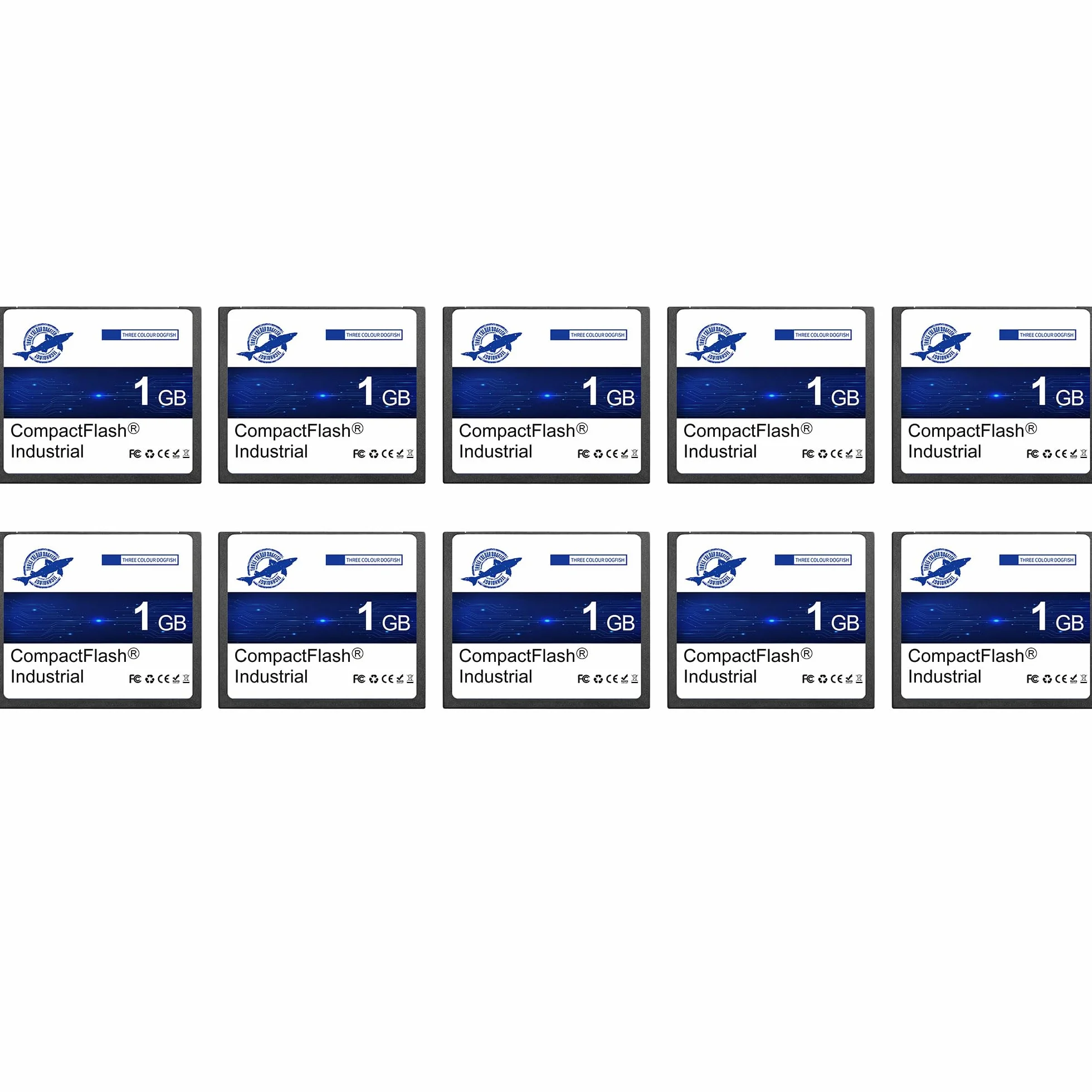 Dogfish Carte Mémoire Compact Flash 1Go 10PACK Type I pour Appareil Photo Numérique