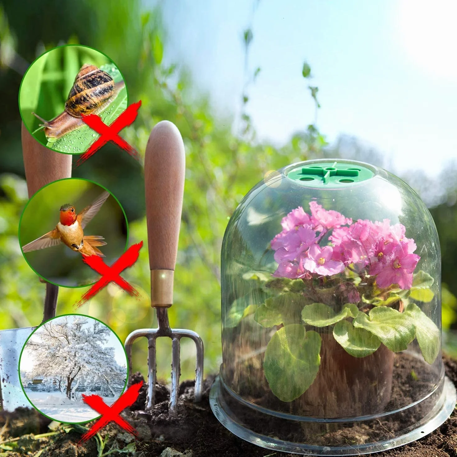 Cloche pour Plantes de Jardin LATERN 26CM x 20CM Mini Serre en Plastique 10 Pièces avec Piquets de Fixation