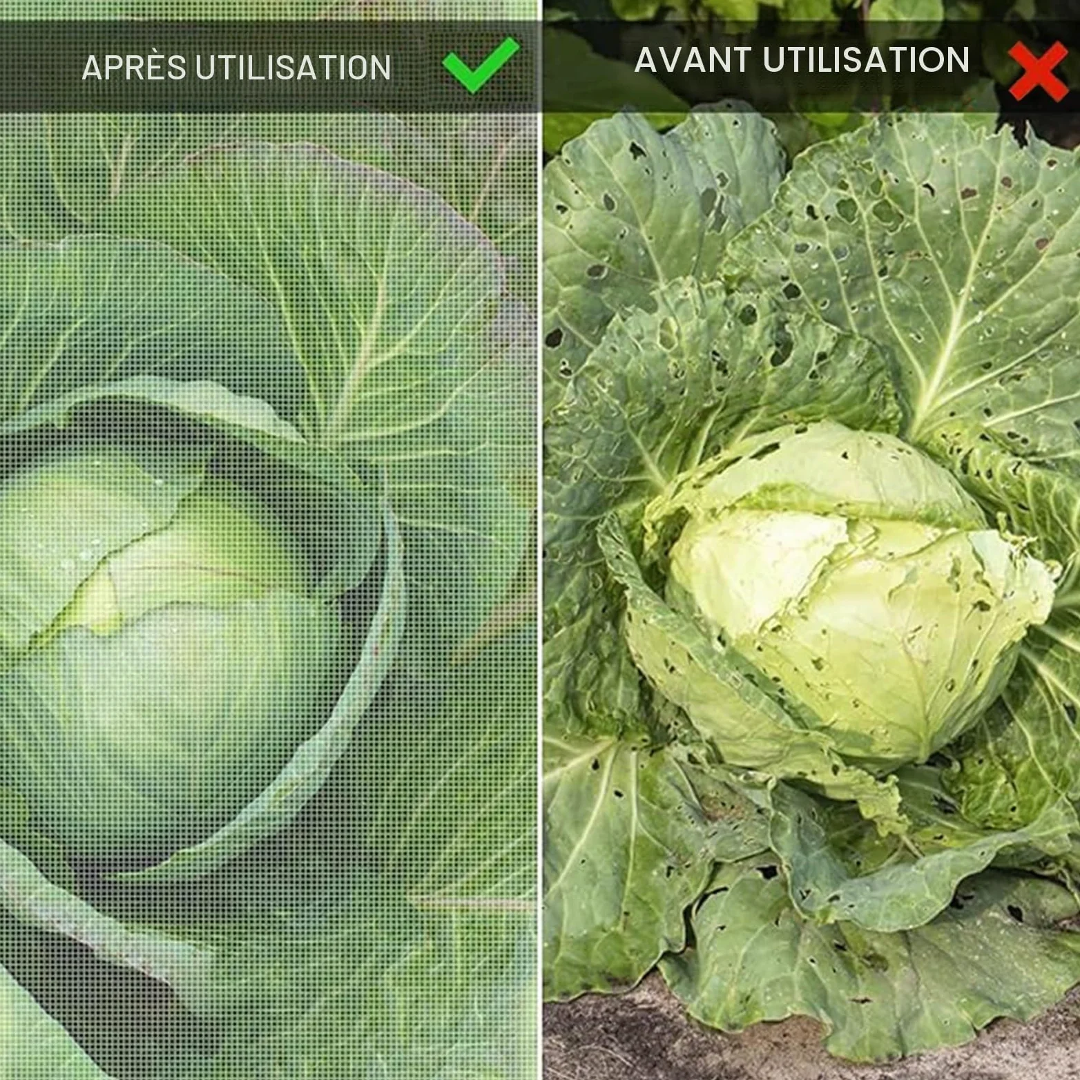 Filet Anti Grele Filet Anti Insecte Potager, Maille Fine Filet Anti Moustique, Filets pour Jardin pour la Protection des Plantes Légumes Fruits, Filet Anti-Insectes pour Fenêtre(5x10m)