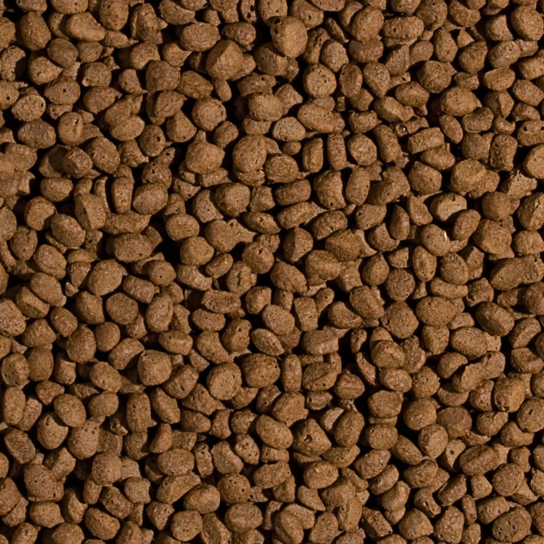 Tropical Koi Wheat Germ & Garlic Pellet Size L 7kg - Aliment Quotidien pour Tous Les Poissons d'étang, avec ajout d'ail, Gros granulés