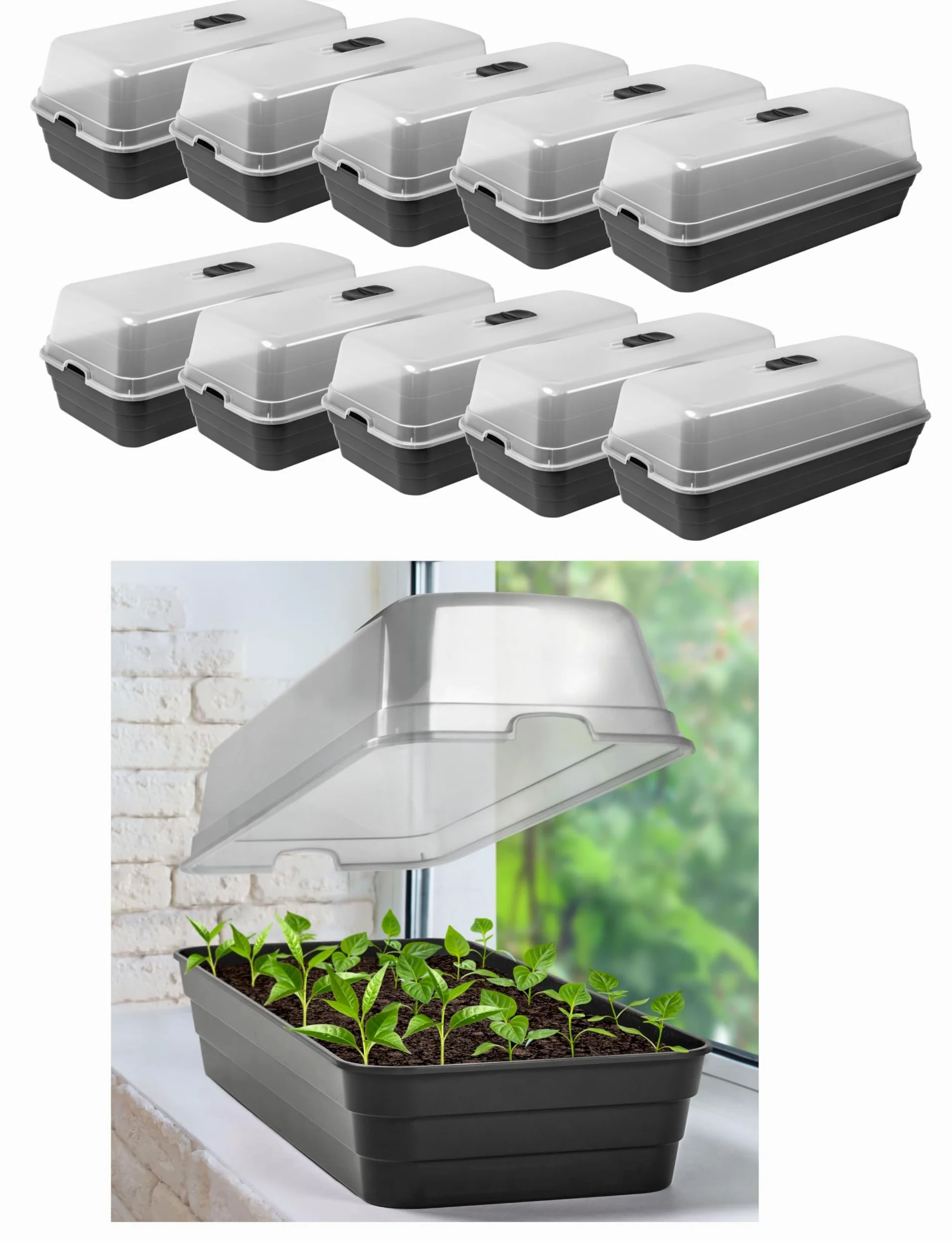 Dynamic24 Serre d'Élevage Mini Avec Couvercle - Serre d'Intérieur Pour Petite Culture (10 x 51 cm)