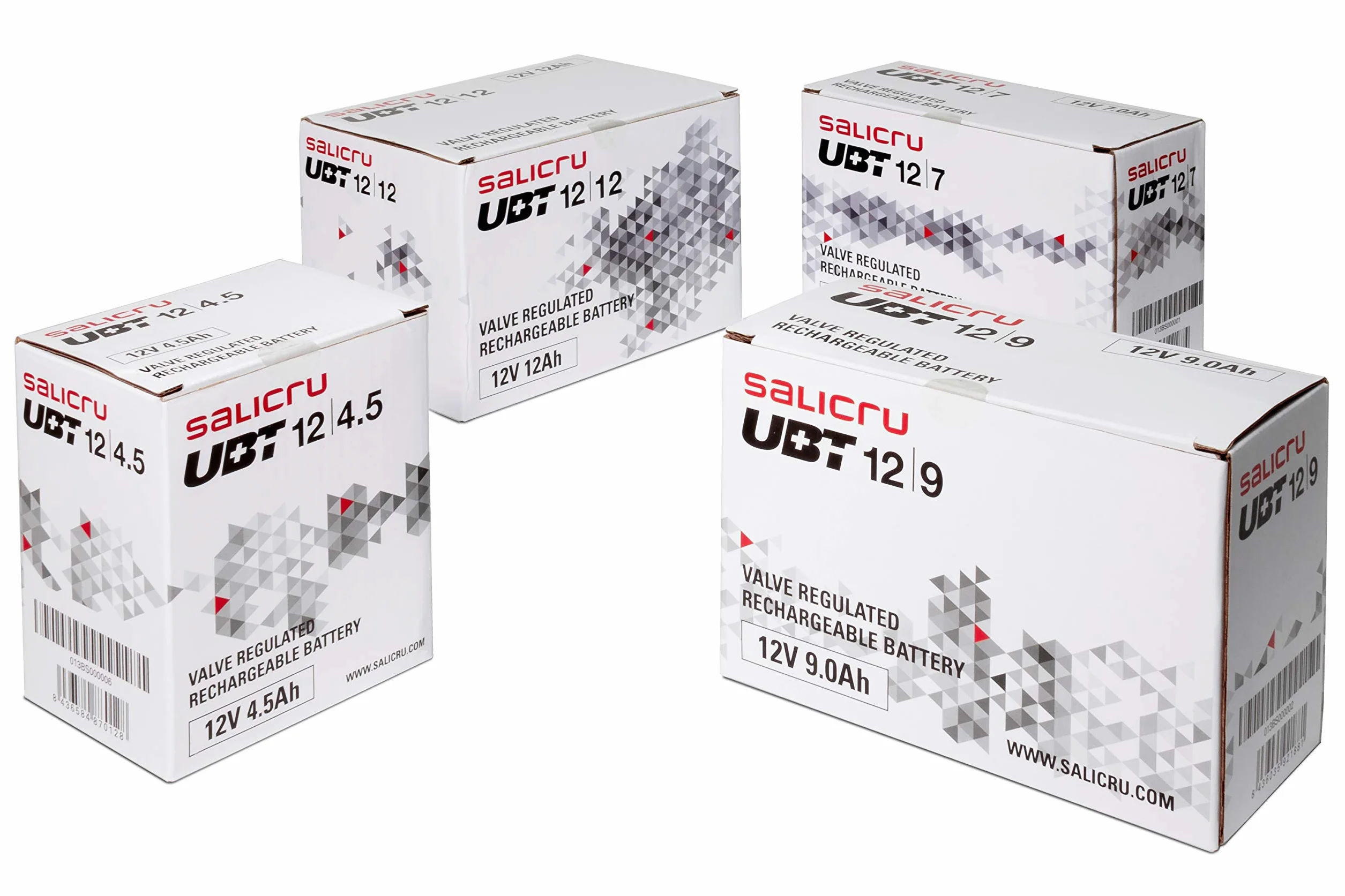Salicru Batterie UBT 12V 9Ah AGM Rechargeable