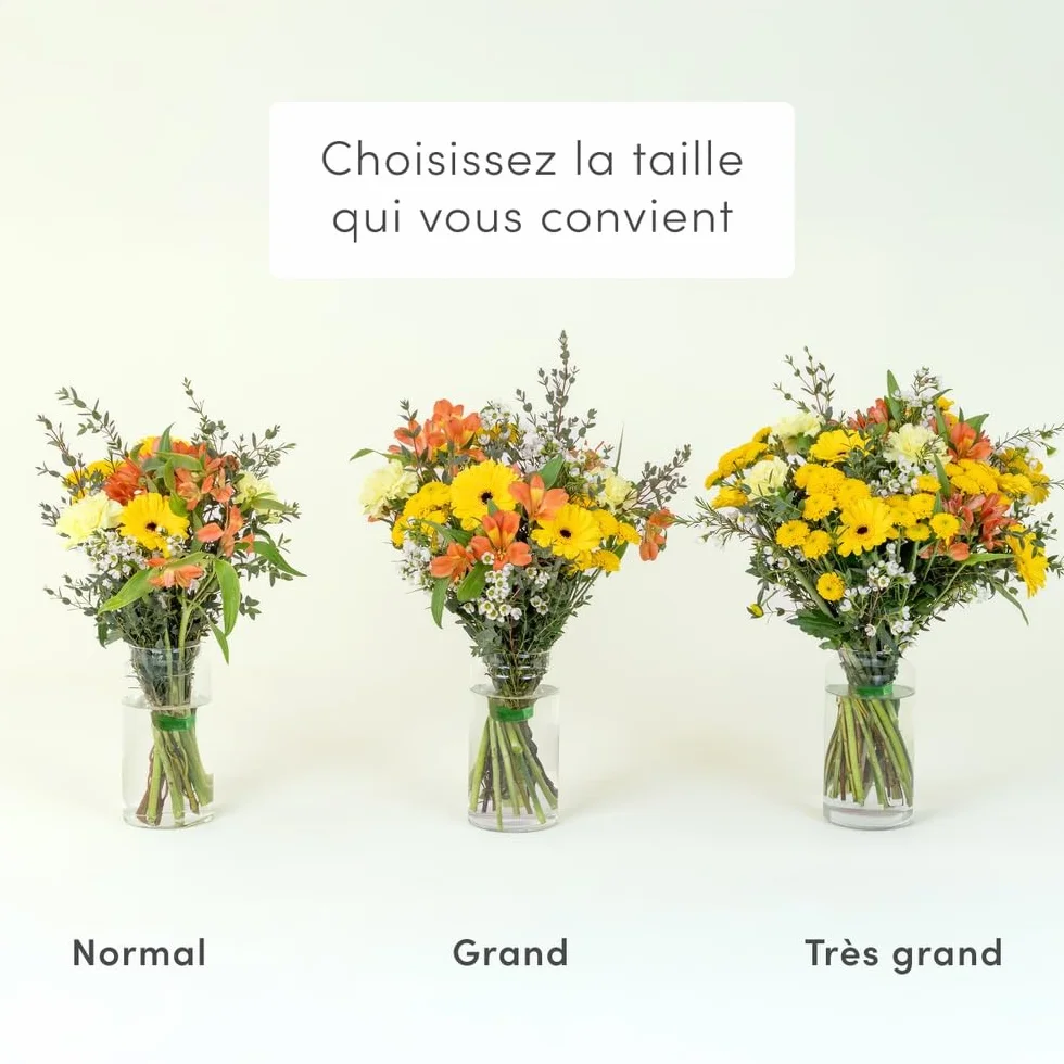 Fleurs et Délices Petit Soleil Grand Bouquet Jaune et Orange 14 Tiges