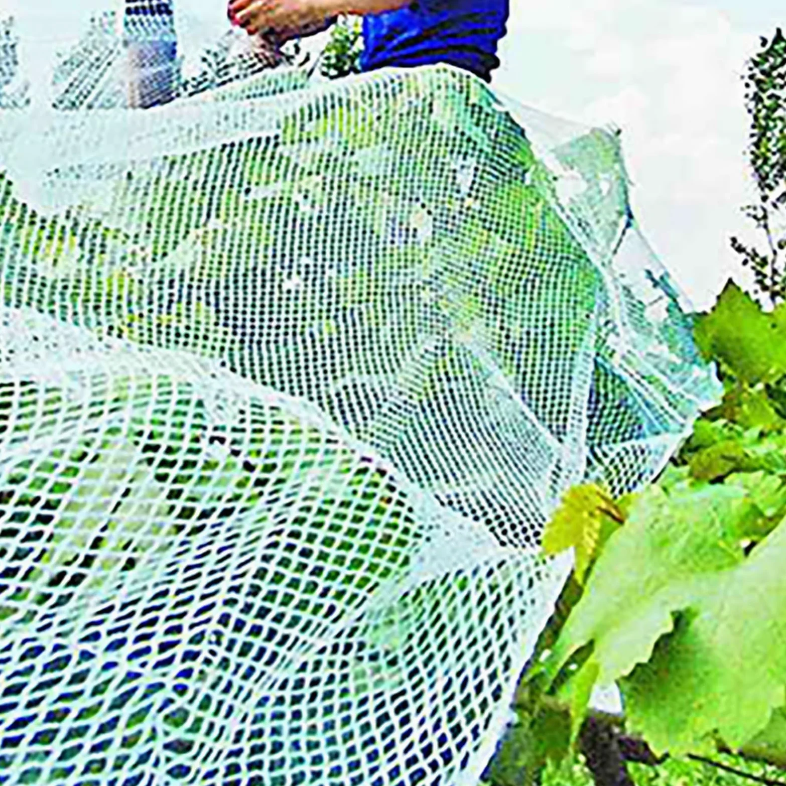 Filet Anti-grêle pour Jardin, Hail and Bird ION Garden Netting Multiple Sizes