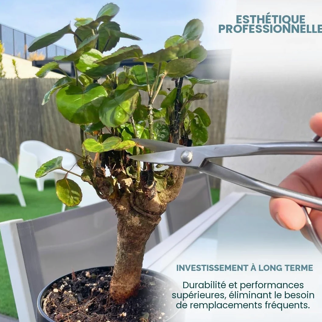 Kit d'outils professionnels pour bonsaï – Mallette d'entretien pour bonsaï avec ciseaux, sécateur concave et sécateur droit Indispensable pour l'entretien