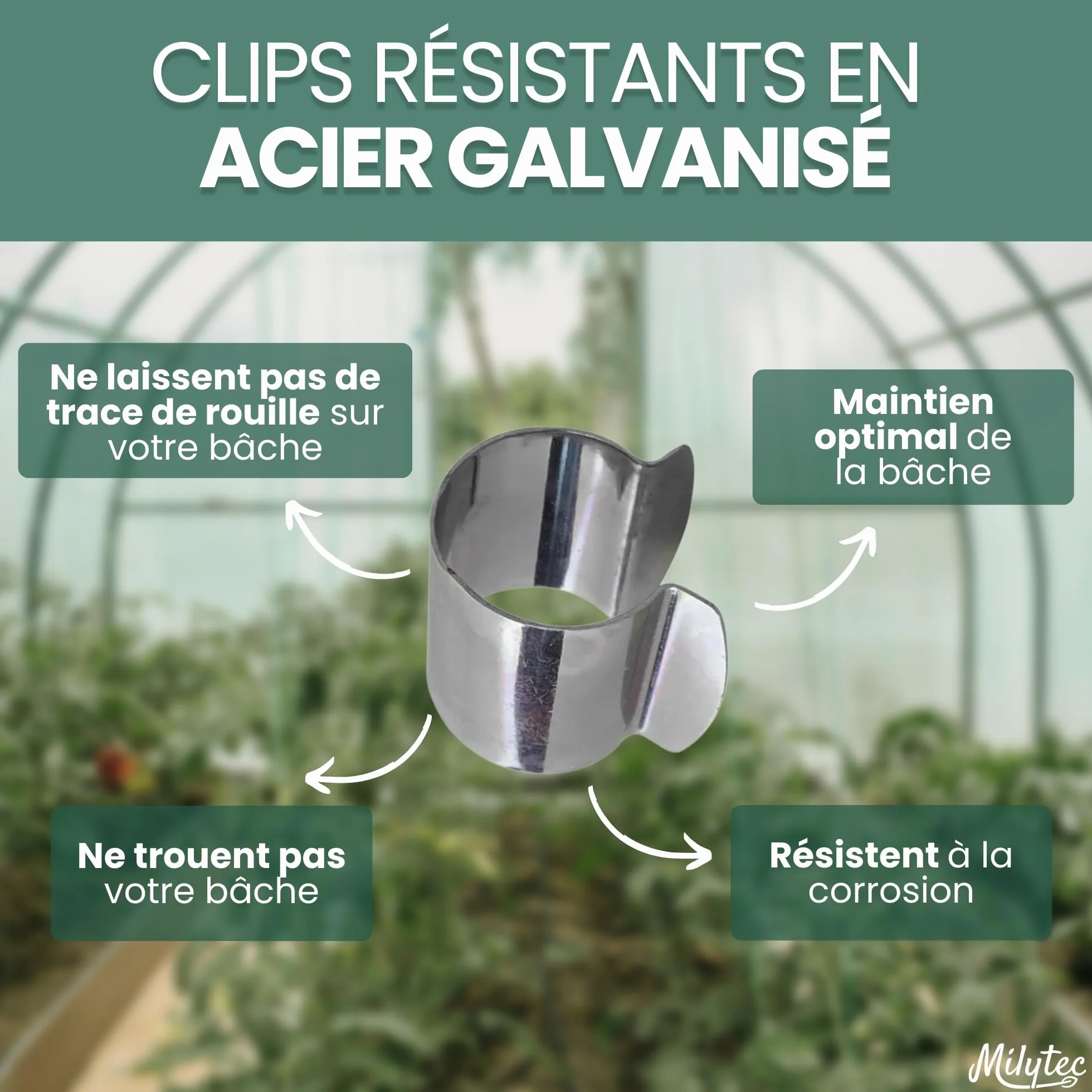 Clips pour Serre 25 mm Acier Galvanisé Lot de 50 Fixation Métal Bâche Tunnel