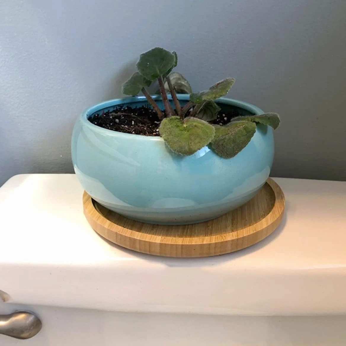 Lot de 4 soucoupes rondes en bambou de 25,4 cm, plateau de service en bambou, plateaux de fleurs en bois, dessous de verre pour pots de fleurs et plantes d'intérieur et d'extérieur