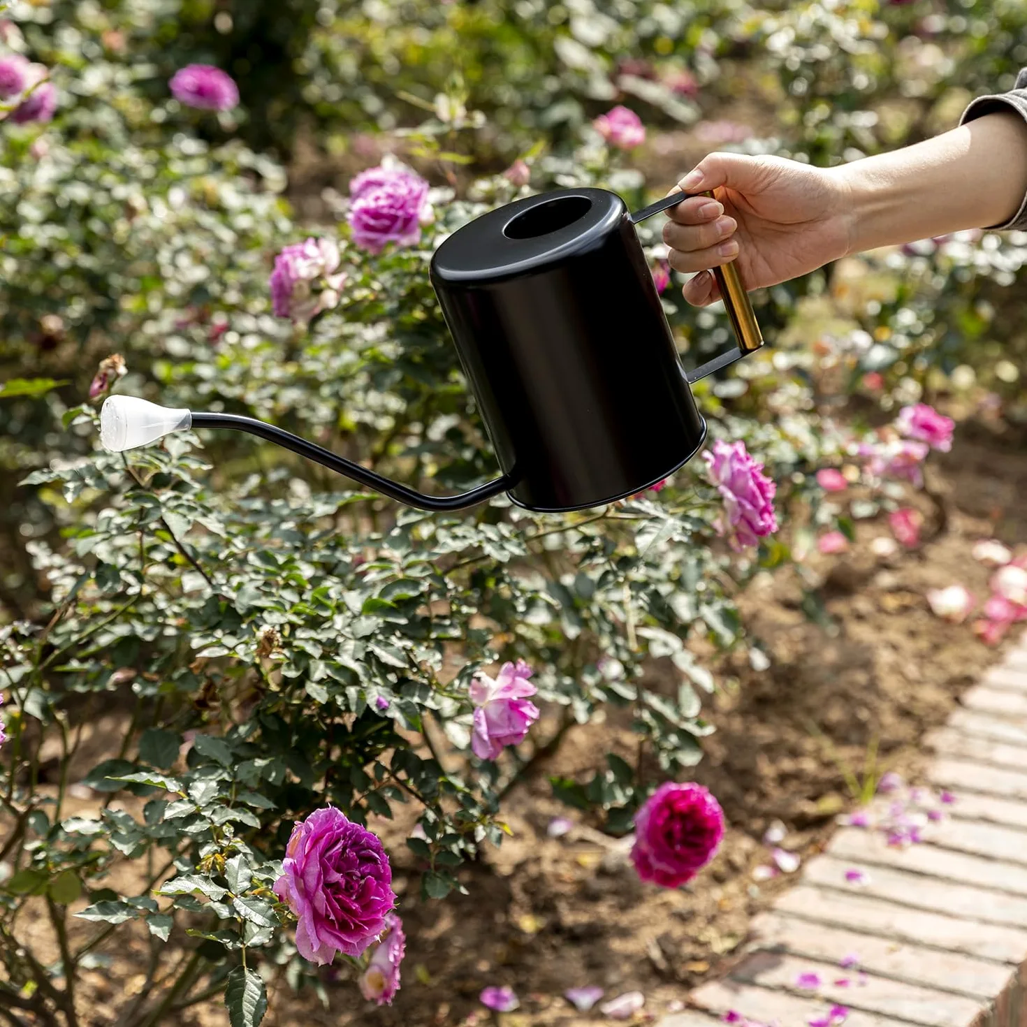 L&H Unico Arrosoir en acier inoxydable de 1,927,8 g à long bec pour arrosage de plantes d'intérieur ou de jardinage extérieur avec 2 becs de pulvérisation amovibles pour fleurs - Noir