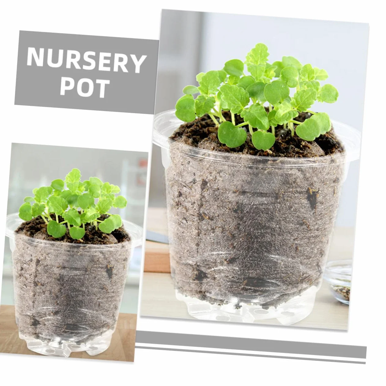TOYANDONA Lot de 10 Sets de Petits Pots de Fleurs avec Couvercle Trous de Drainage Ajustement Température Humidité Jardinage Intérieur Extérieur