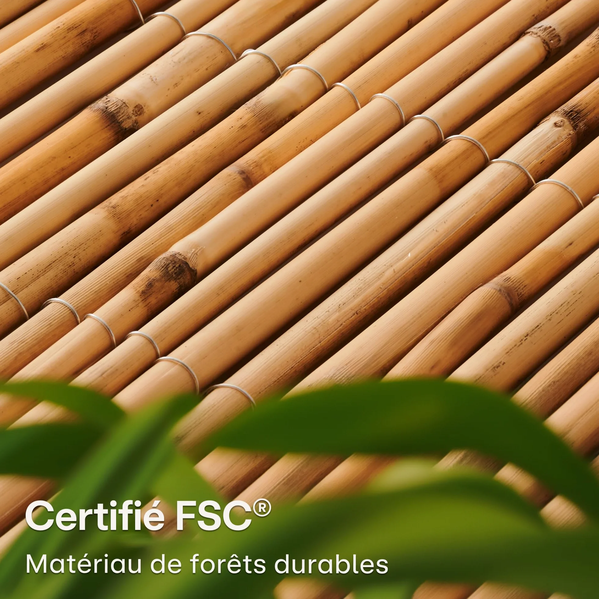 Canisse Roseau Naturel 1m x 3m FSC Certifié 100x300cm pour Balcon Jardin