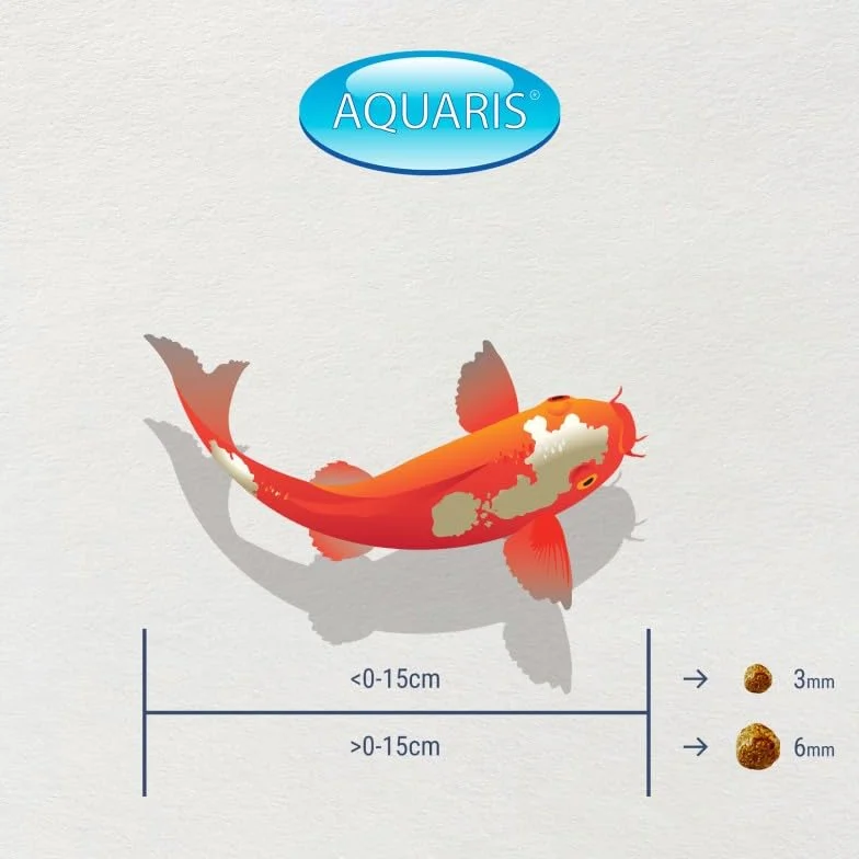 Nourriture pour carpes Koi 500 g 3 mm Granulés flottants hautement digestibles pour Jeunes Koi Riche en protéines germes de blé Actigen
