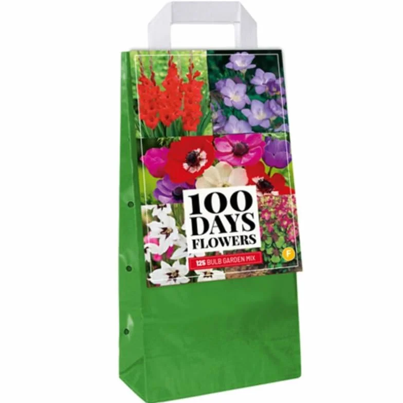 Jub Mix 125 Bulbes de Fleurs à Planter
