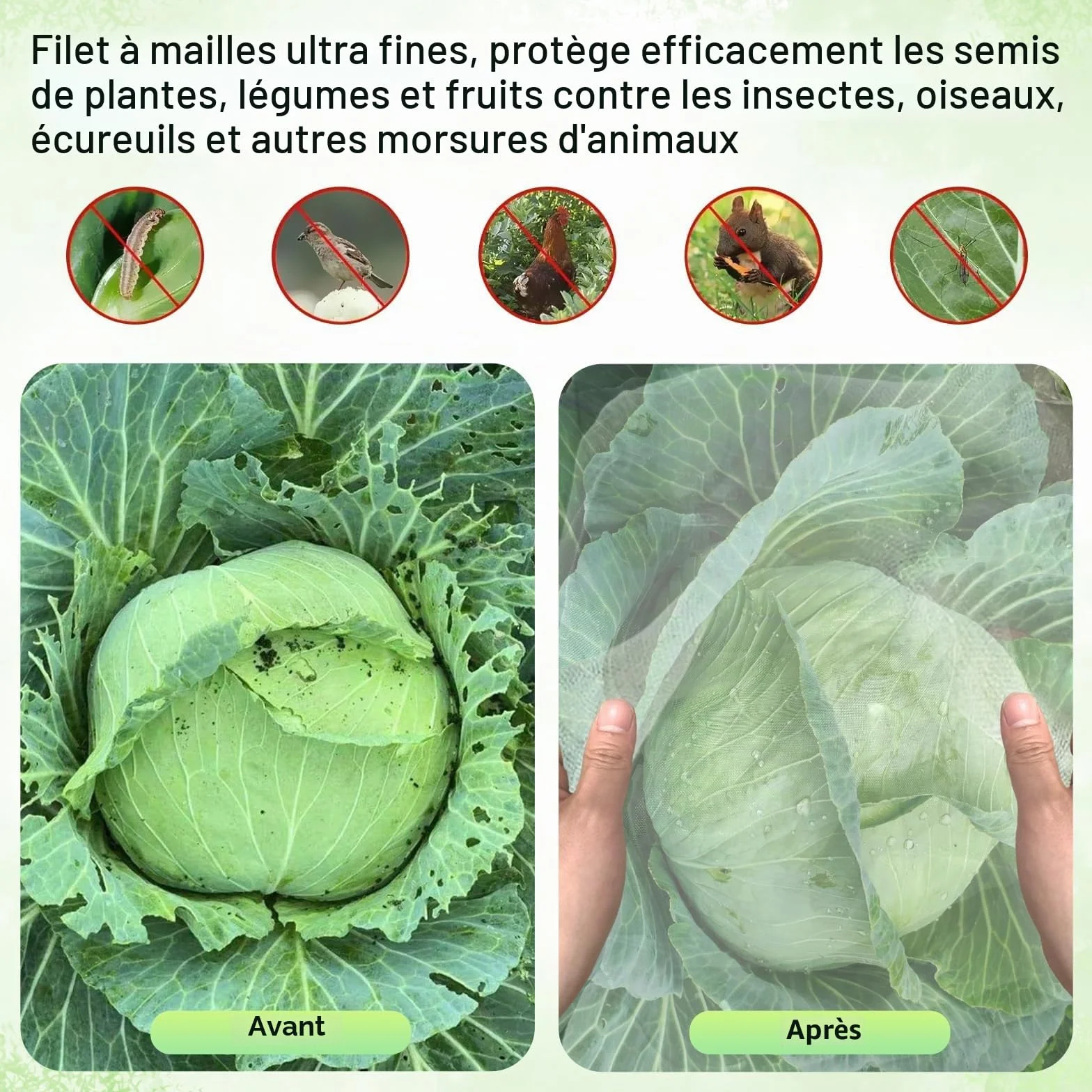 Filet Anti Insecte Potager 3m x 4m Ultra Fine Maille Protection Jardin