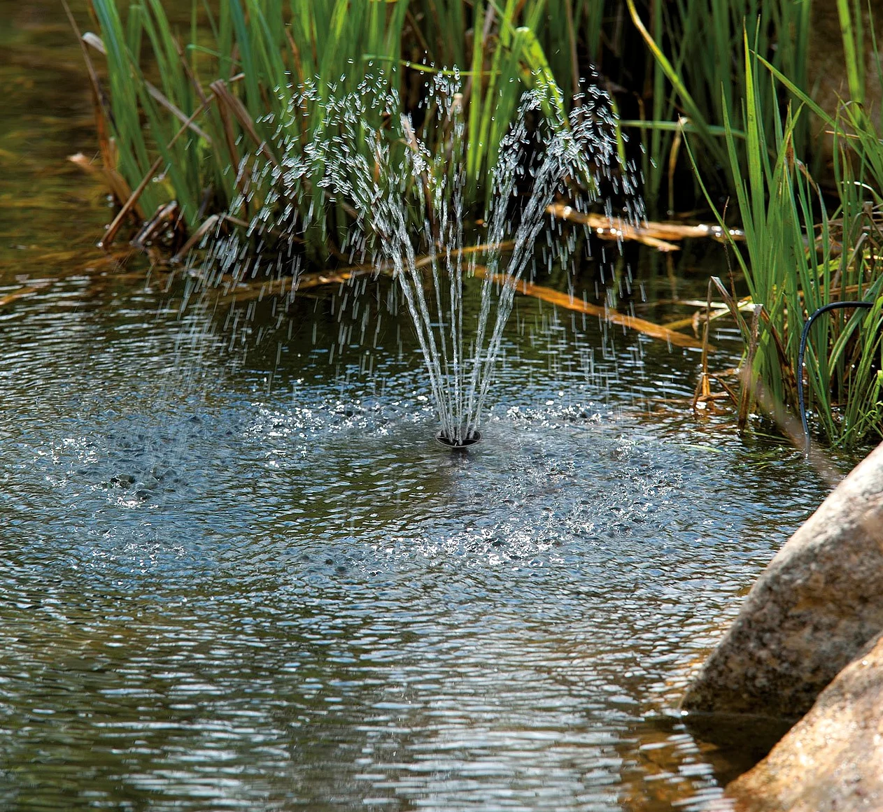 Fontaine de bassin solaire [Royal Gardineer]