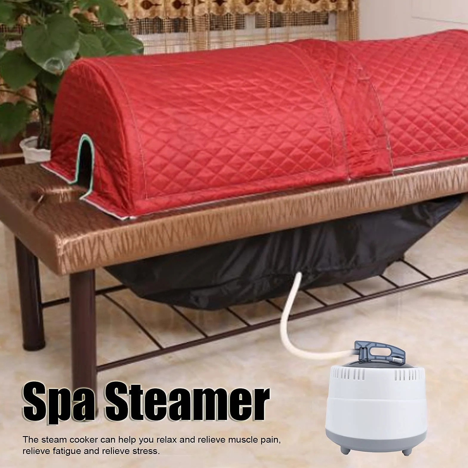 Sauna à Vapeur 1000 W Générateur de Vapeur Portable 2,0 L avec Télécommande
