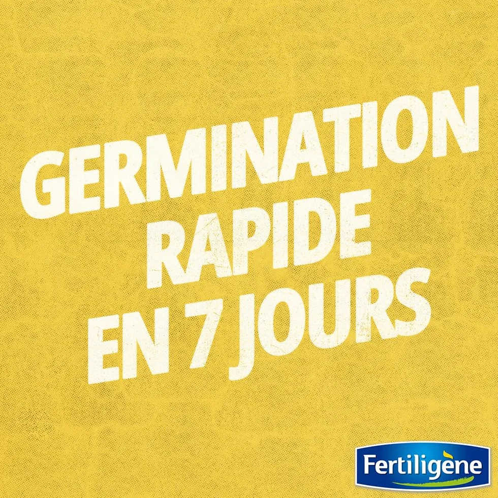 FERTILIGENE OMBR25 - Semences Gazon Terrain Ombragé 875 g - Pour 200m² - Premières pousses en 1 semaine