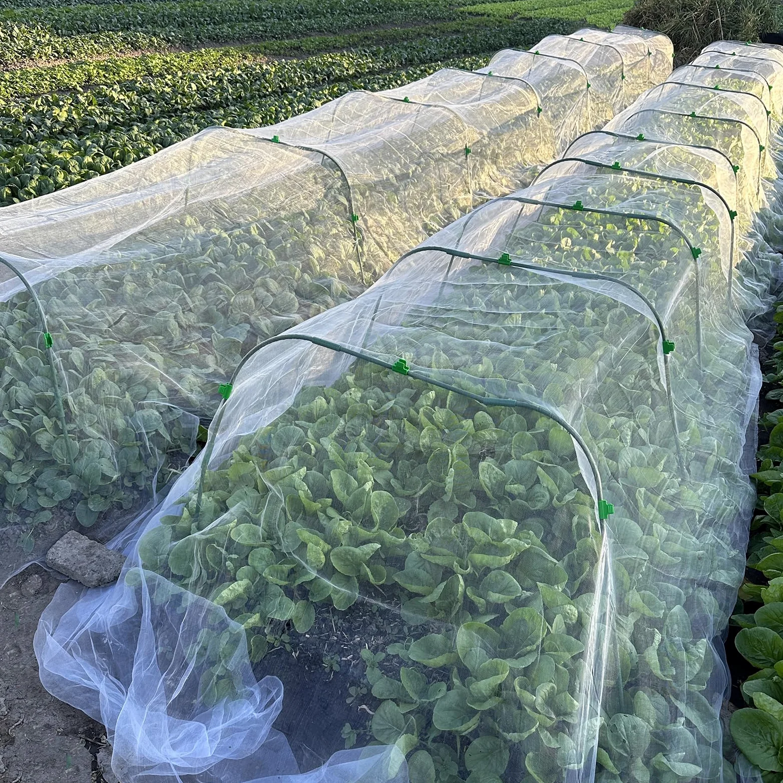 Kit de filet de jardin, filet de barrière en maille fine de 3 x 10 m avec 8 cerceaux de jardin et 24 clips, filet anti-insectes, couverture de rangée de parterres surélevés, protège les légumes, les