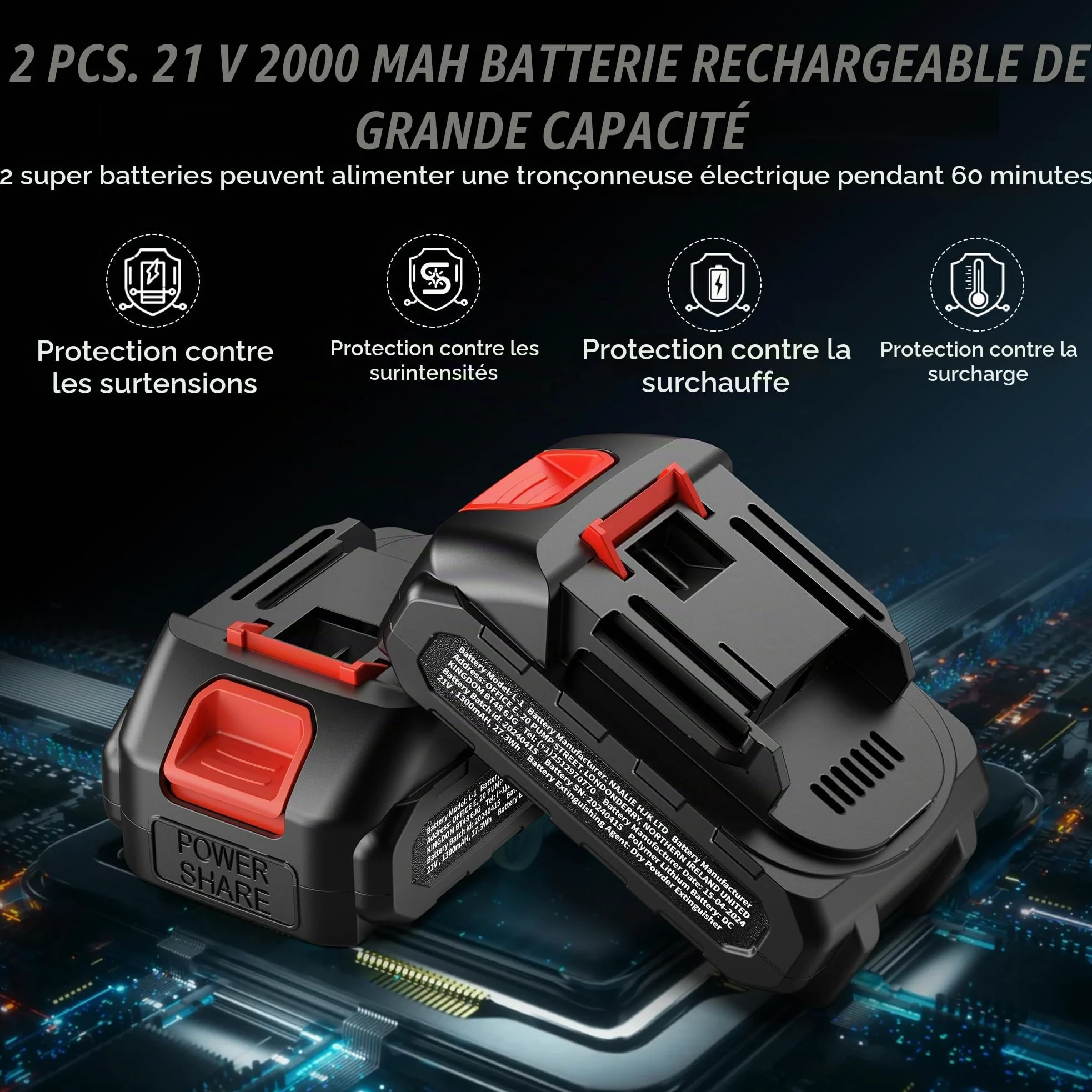 Tronçonneuse sur Batterie Mini - 6 Pouces Coupe Branche Ãlectrique Scie Sans Fil petite Elageuse Chainsaw avec 2 Batteries 2 Chaines 800W l'Élagage le Jardin Cour Bois jardinage