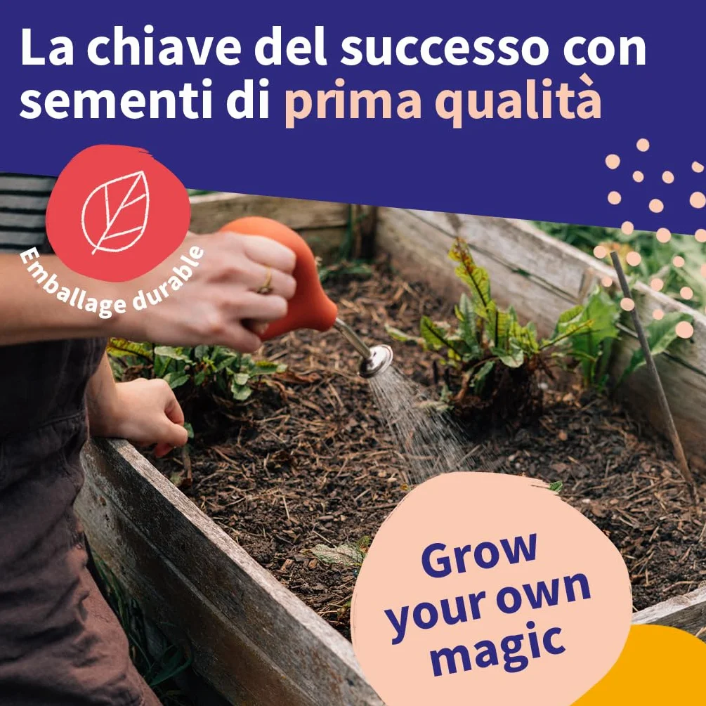Légumes rares kit cadeau graines 8 variétés