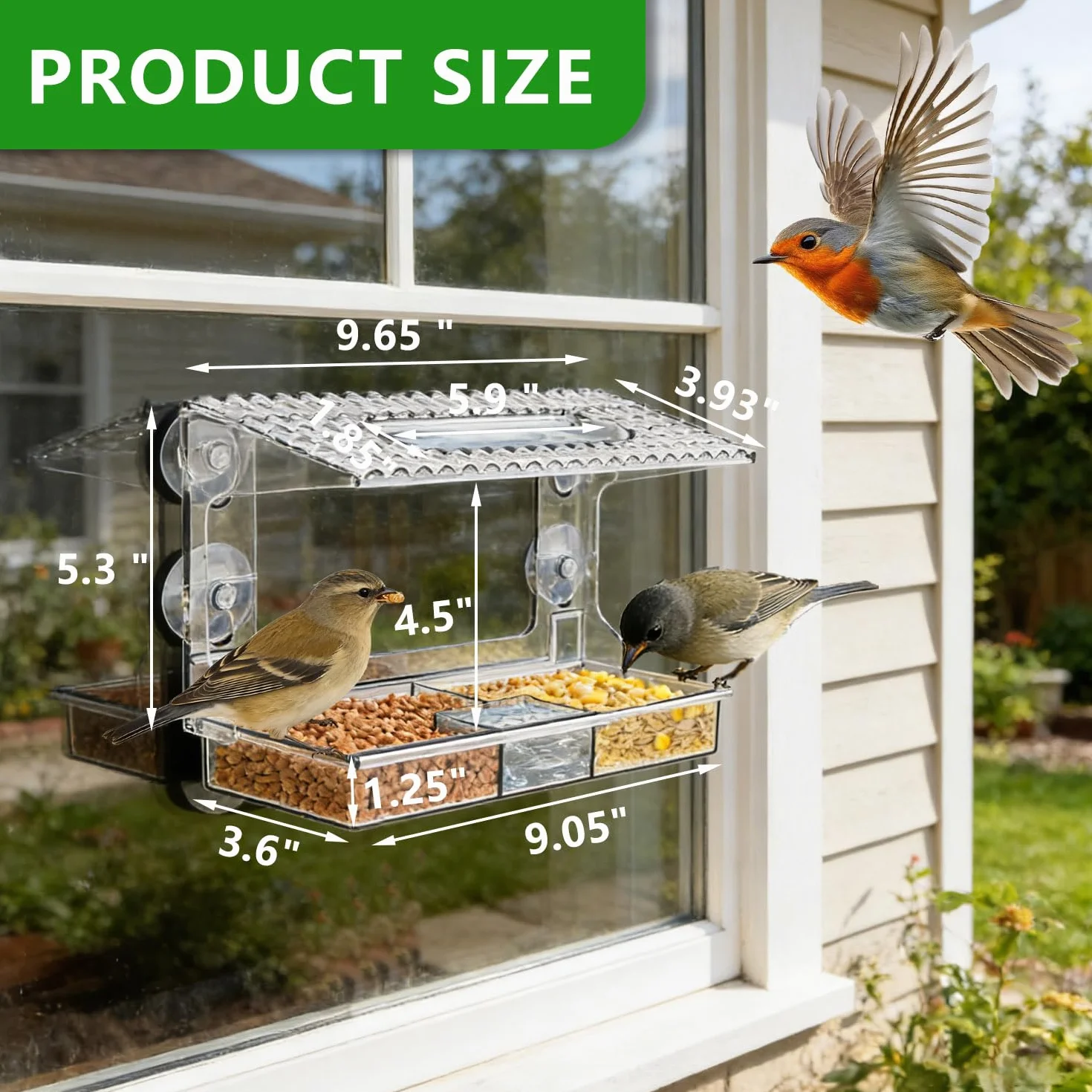 Mangeoire fenêtre Transparente Vue Claire pour Petits Oiseaux Sauvages, Ventouses puissantes